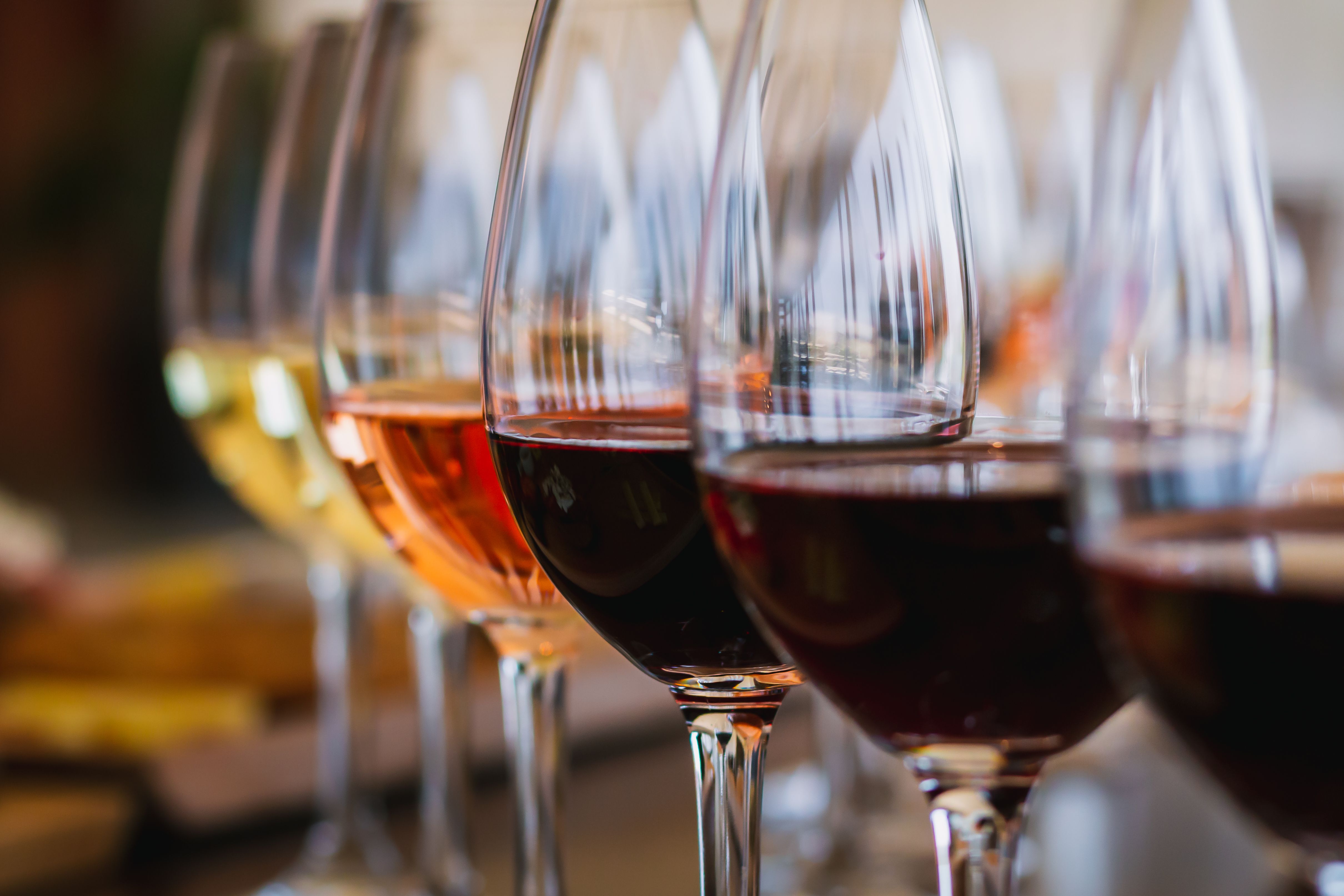 wine tasting