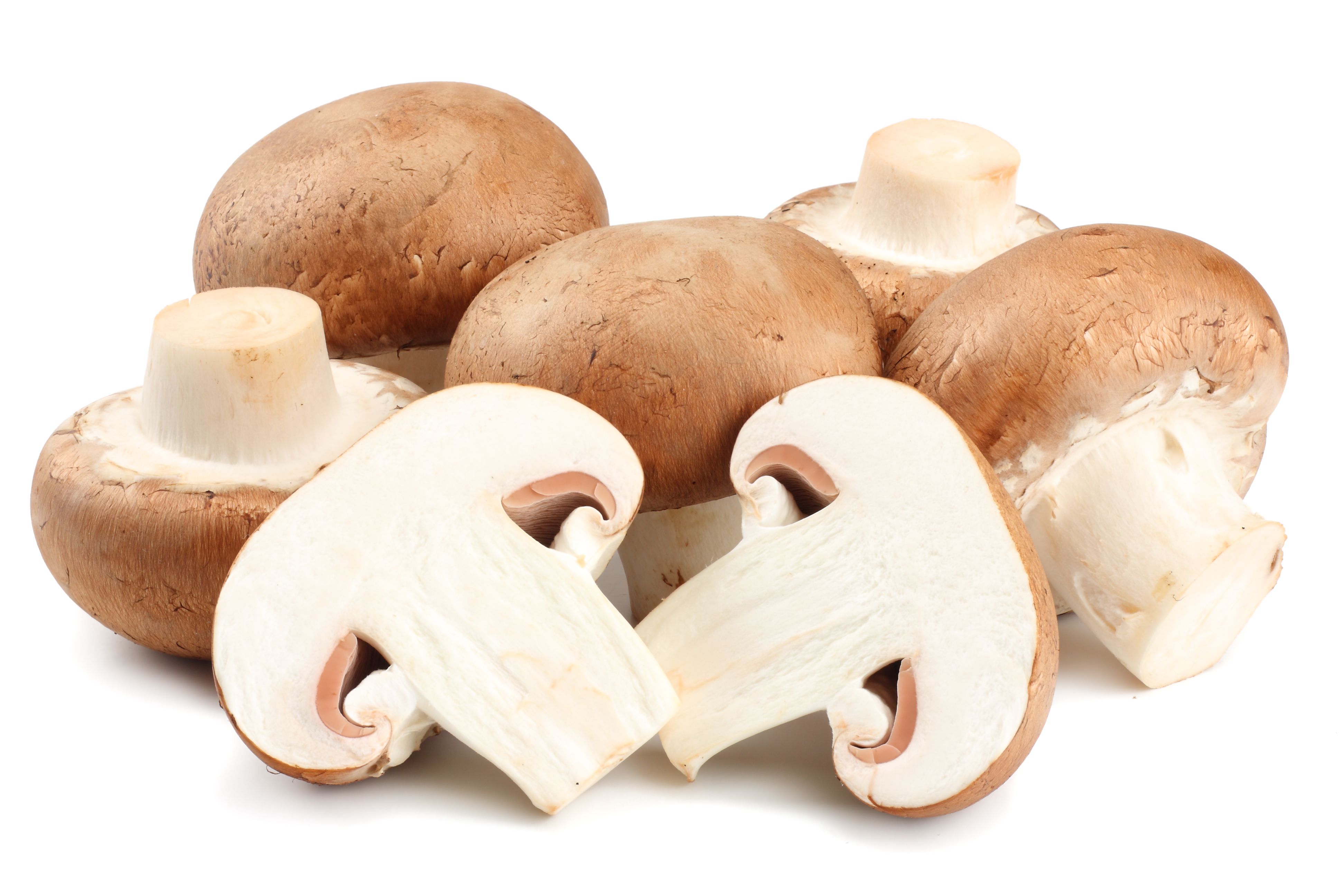 mushroom preparation