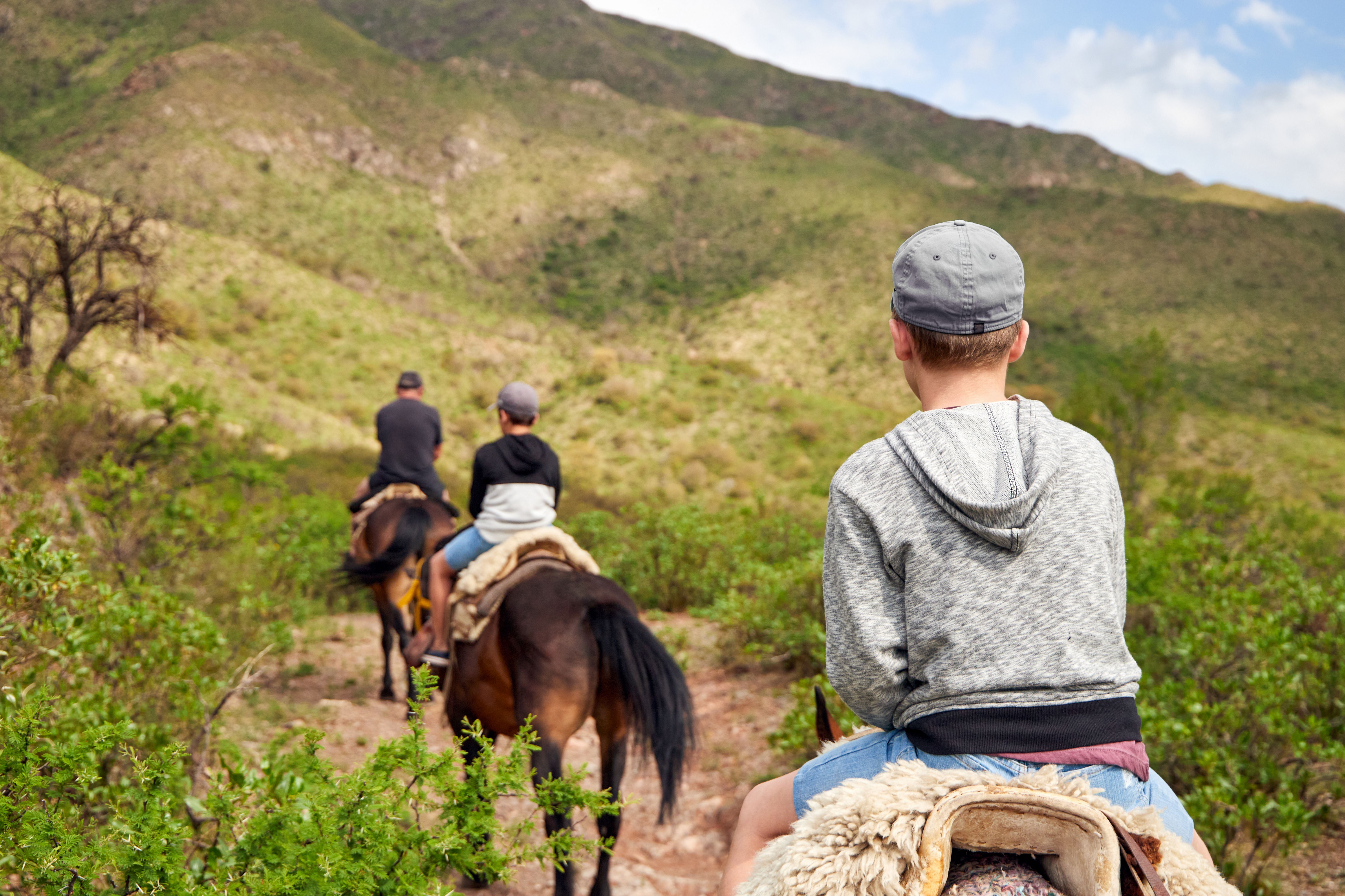 guided horseback tour