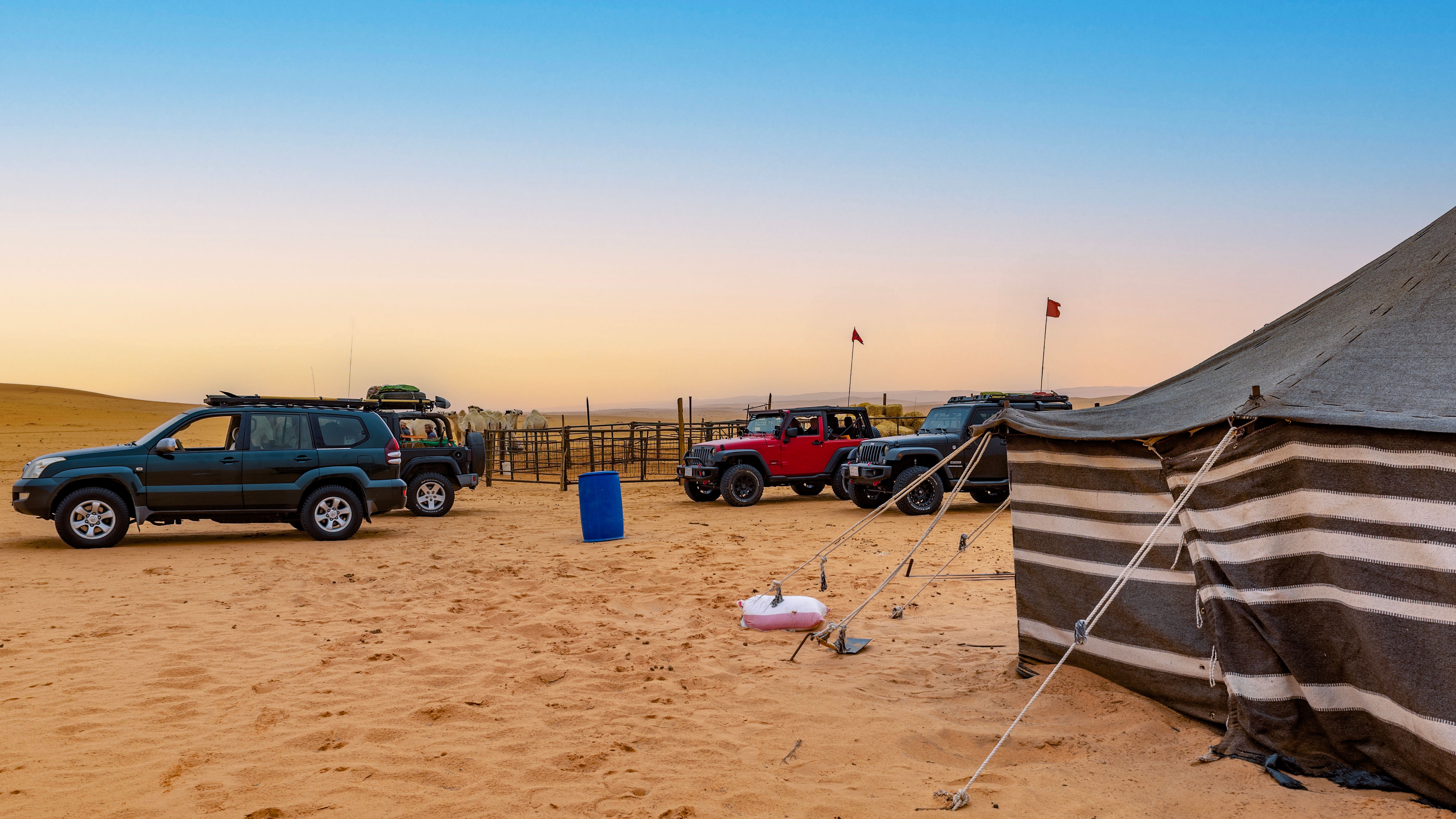 Visitors to a bedouin camp in the Saudi desert