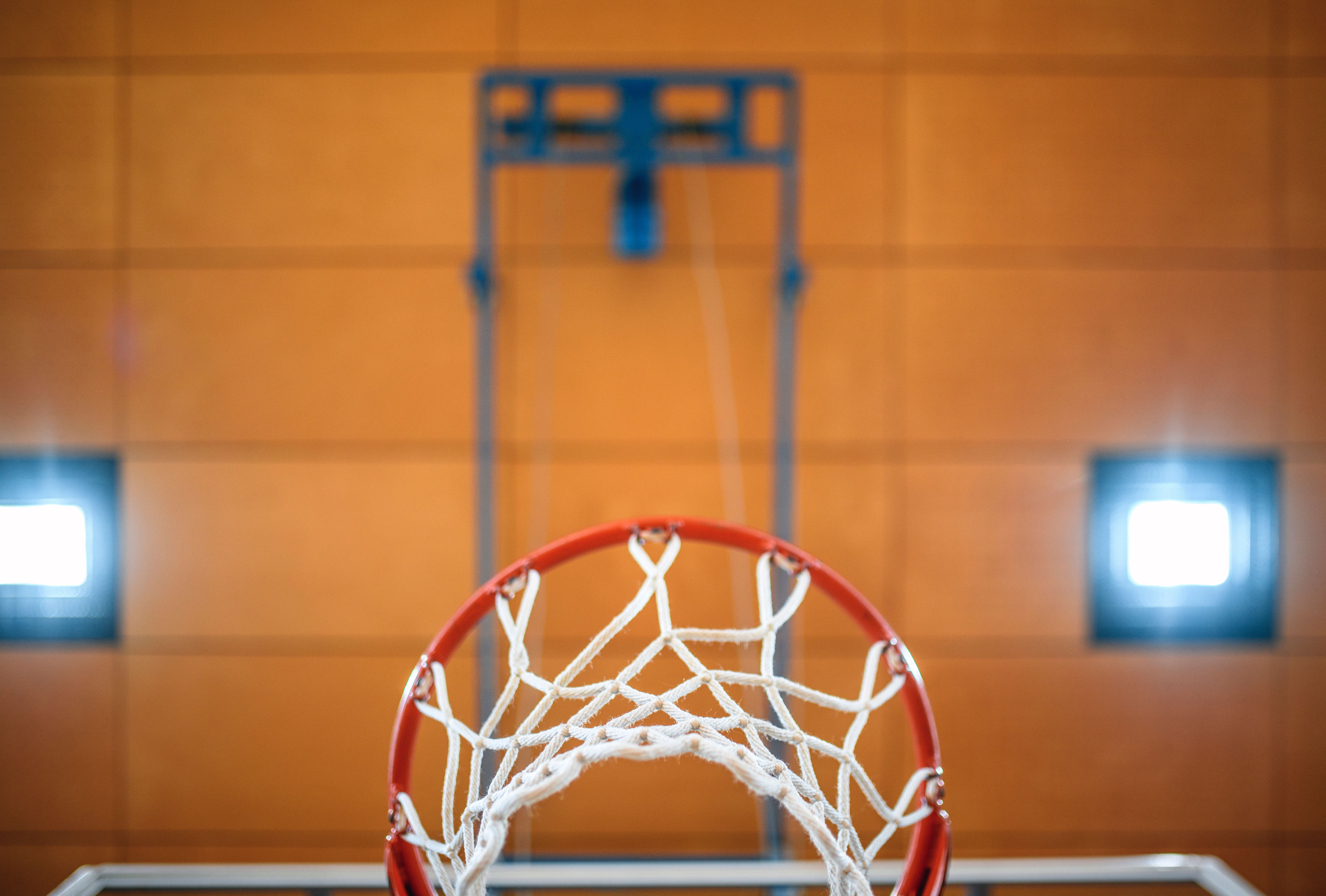 Ljubljana basketball