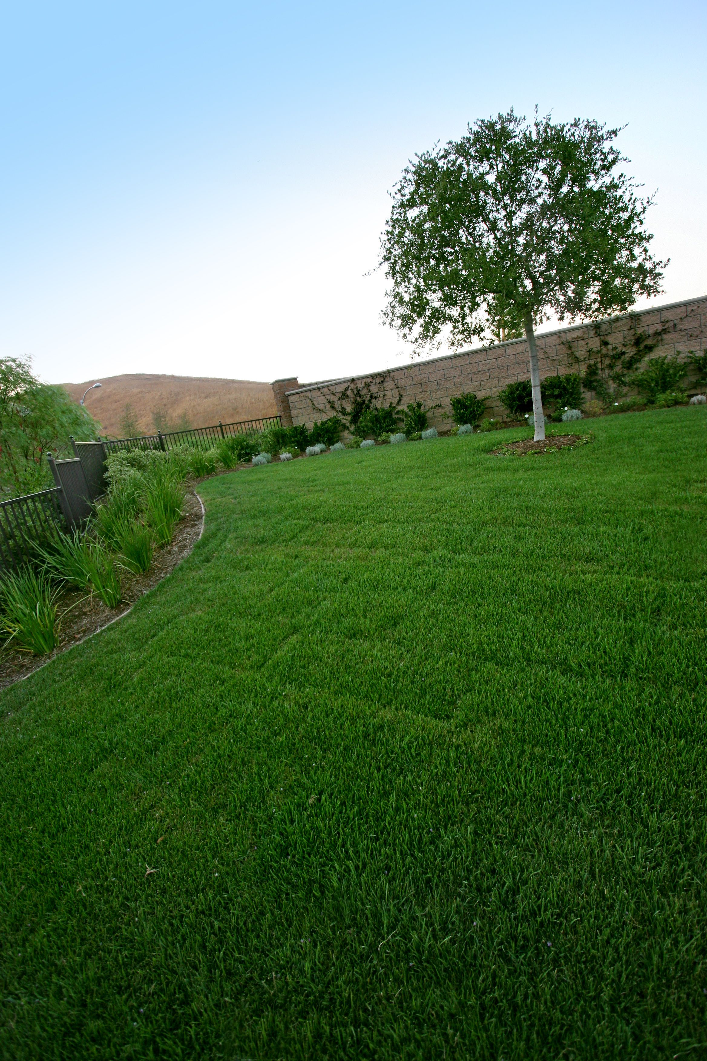 Front Yard Landscape