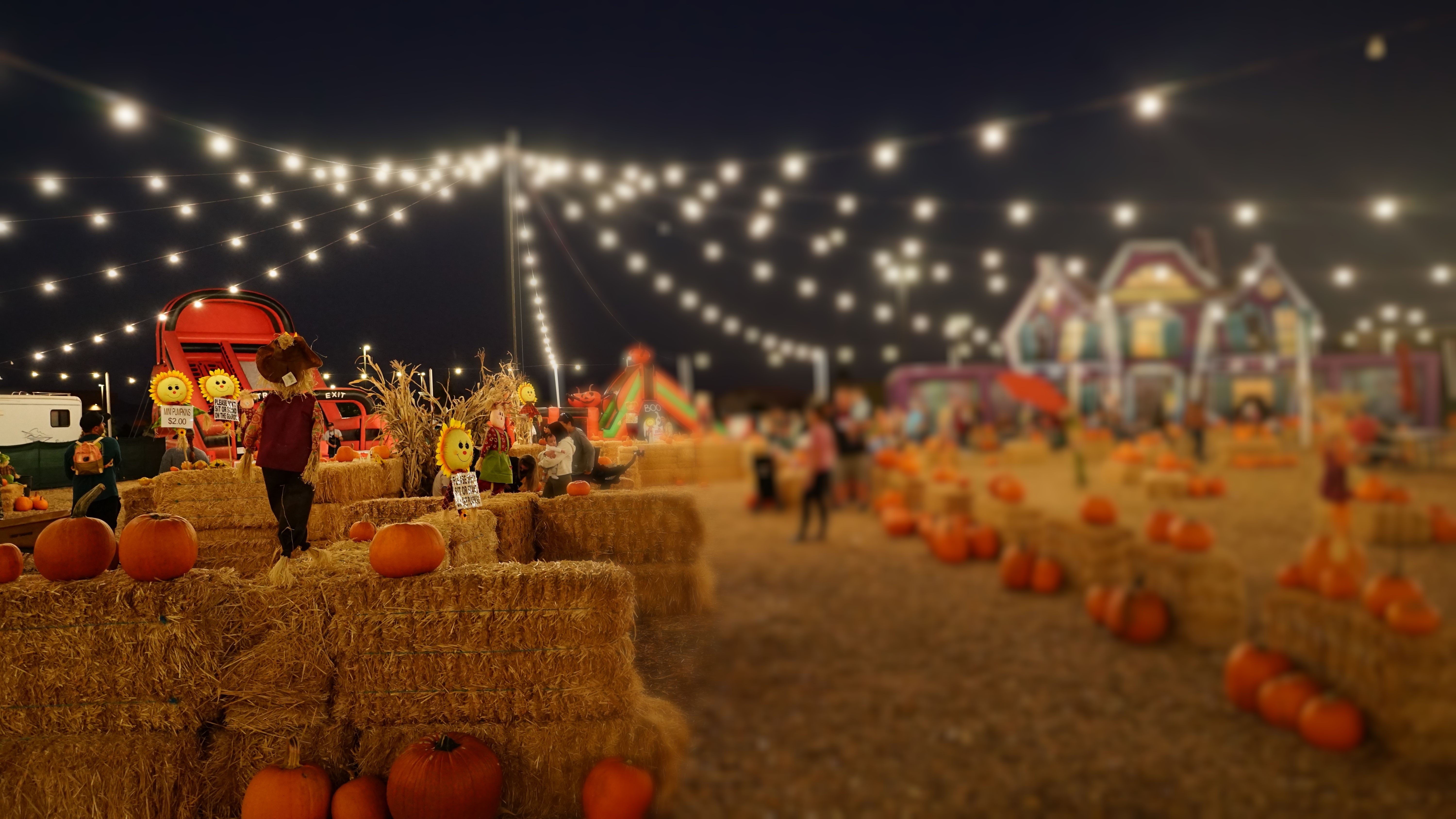 Nighttime Halloween pumpkin patch in Phoenix, AZ with hay bales and inviting overhead decorative string lighting for pumpkin hunters!