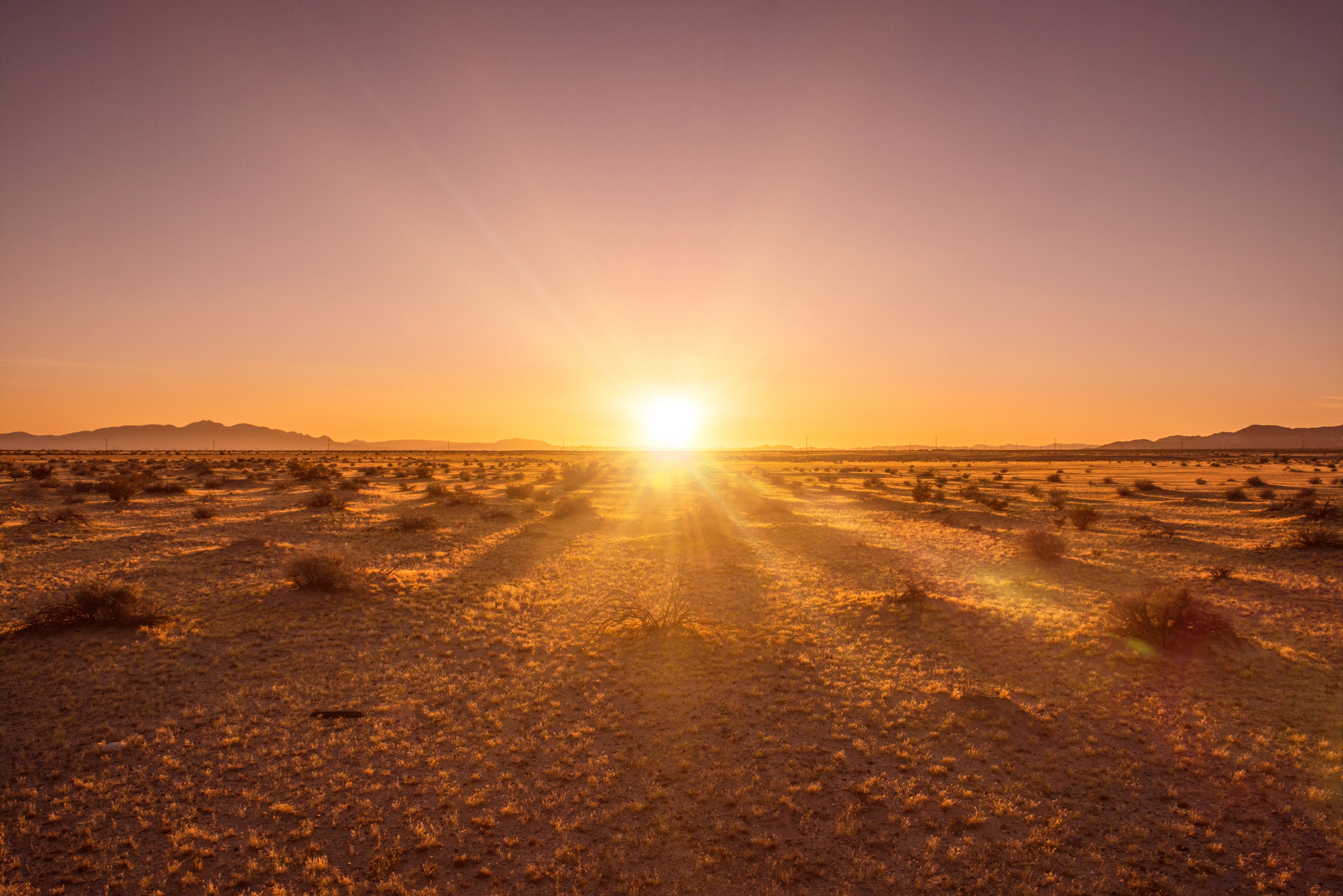 desert sun