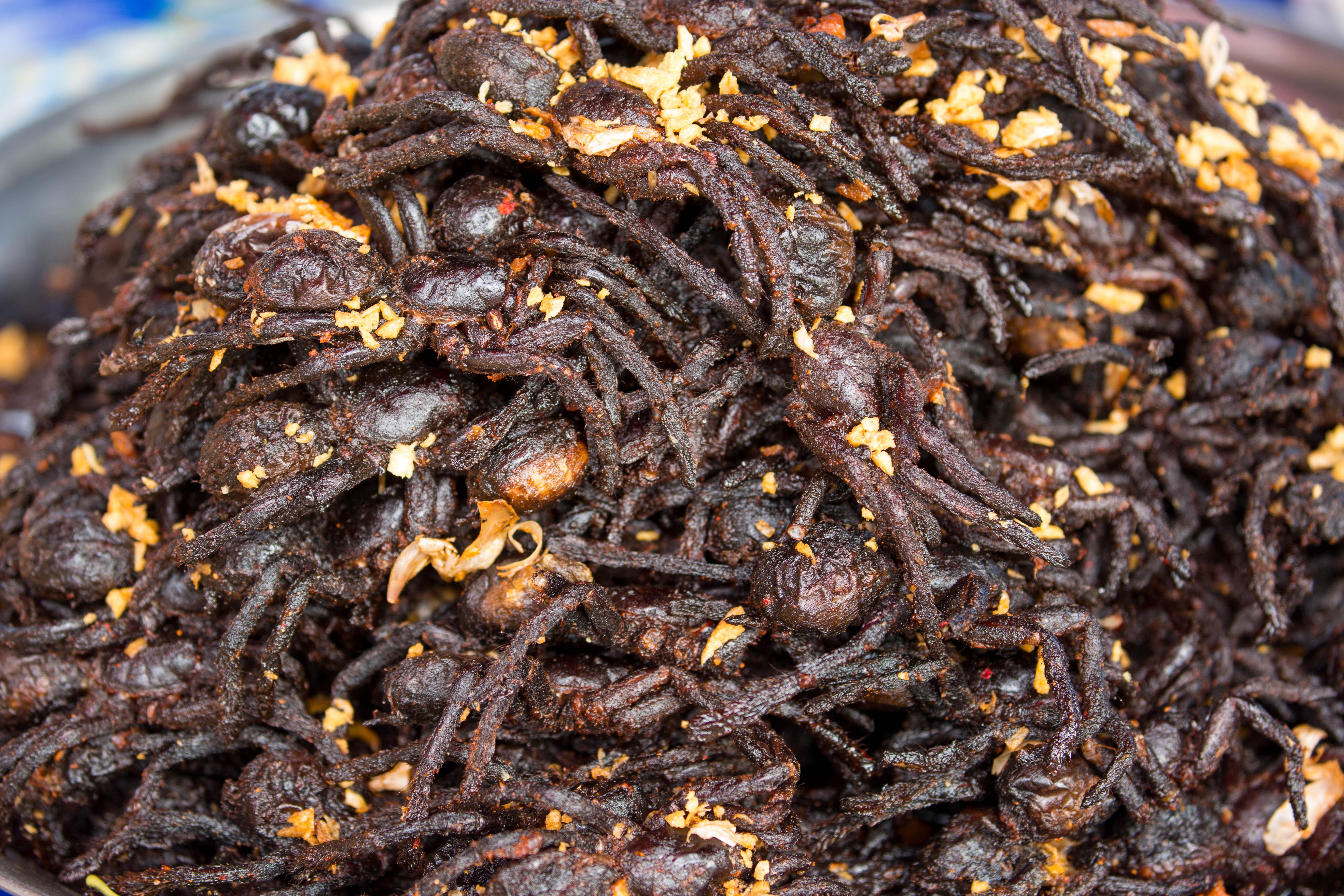 fried spider preparation