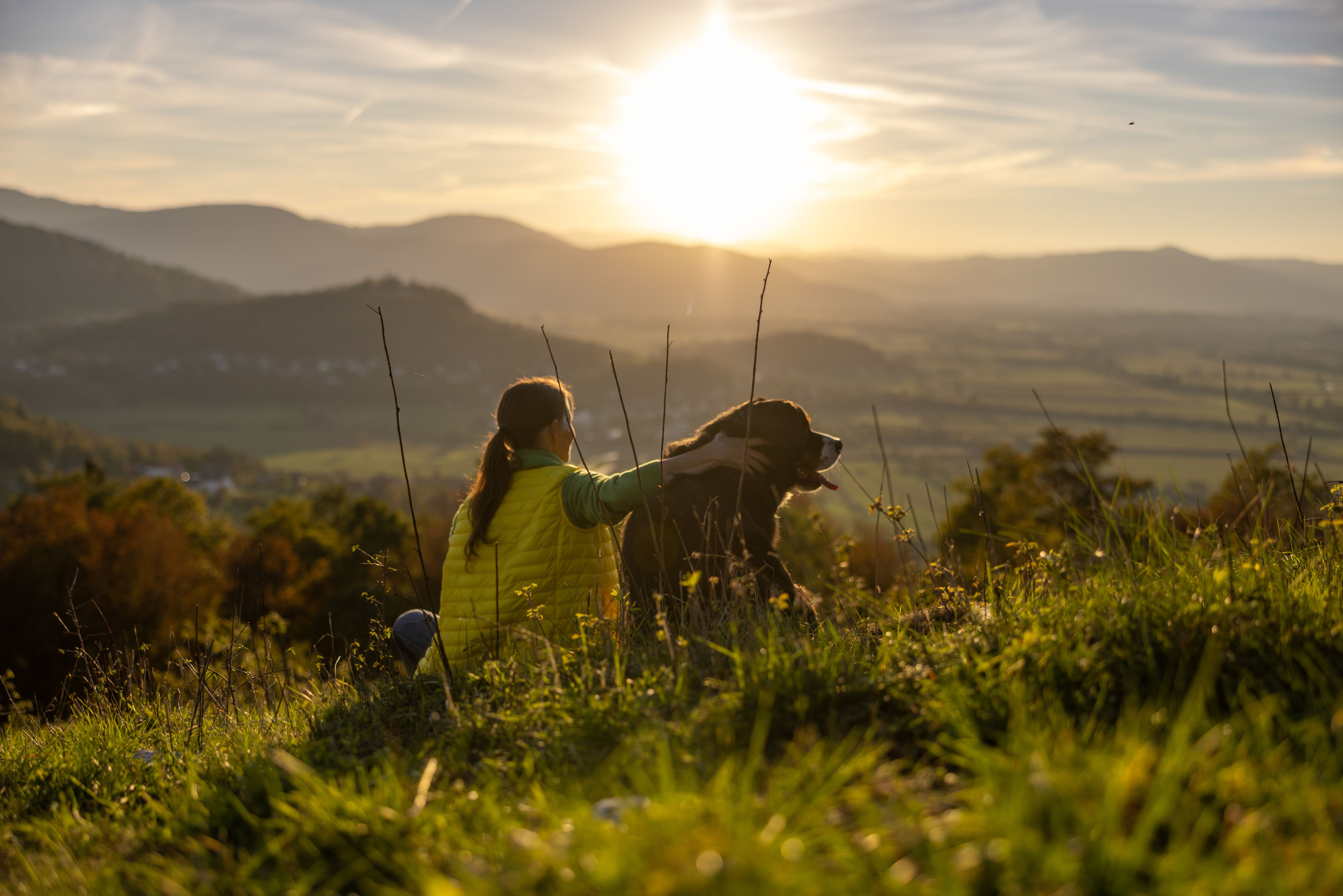 dog with owner exploring nature