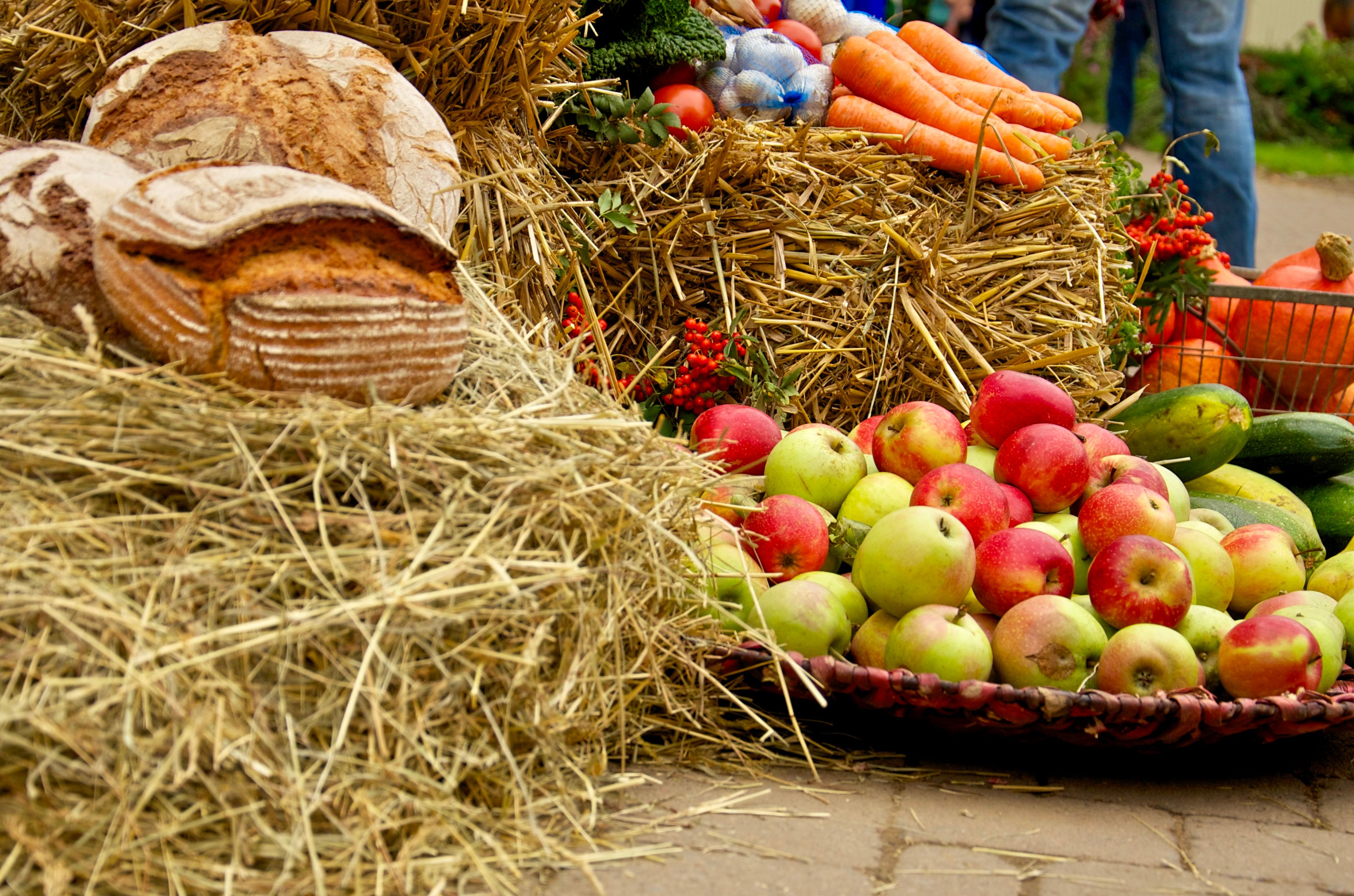harvest festival