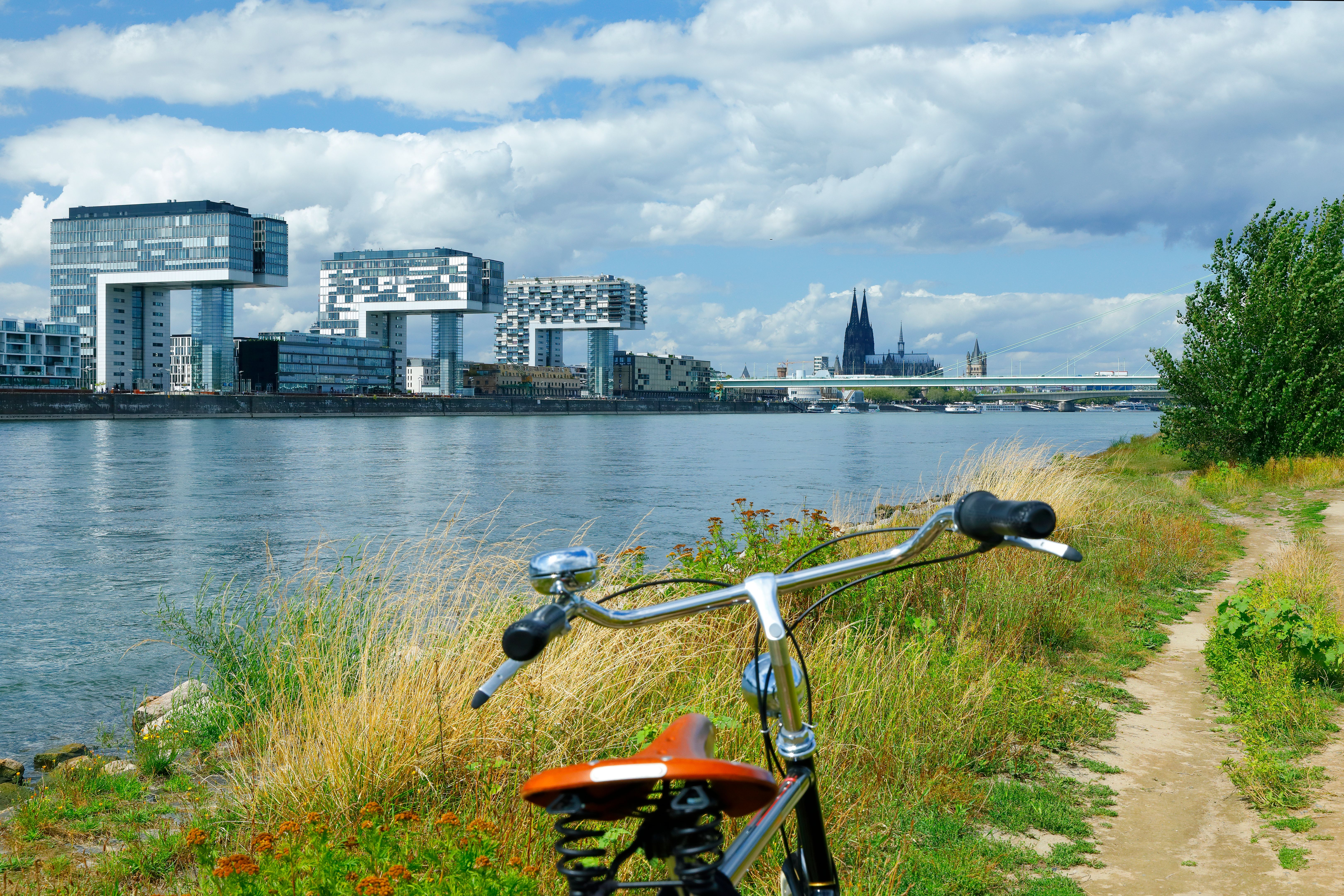 cologne bike