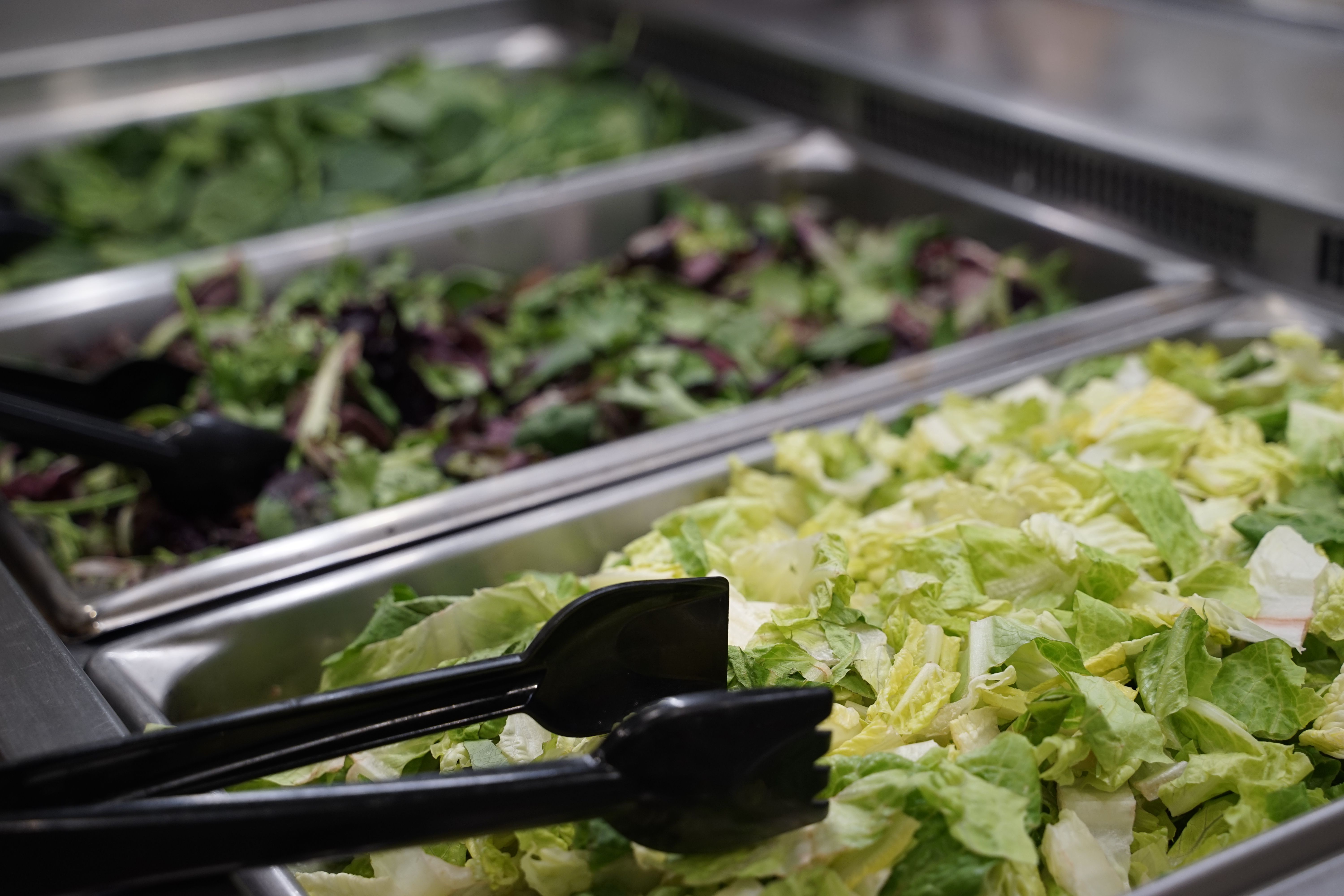 commercial salad bar