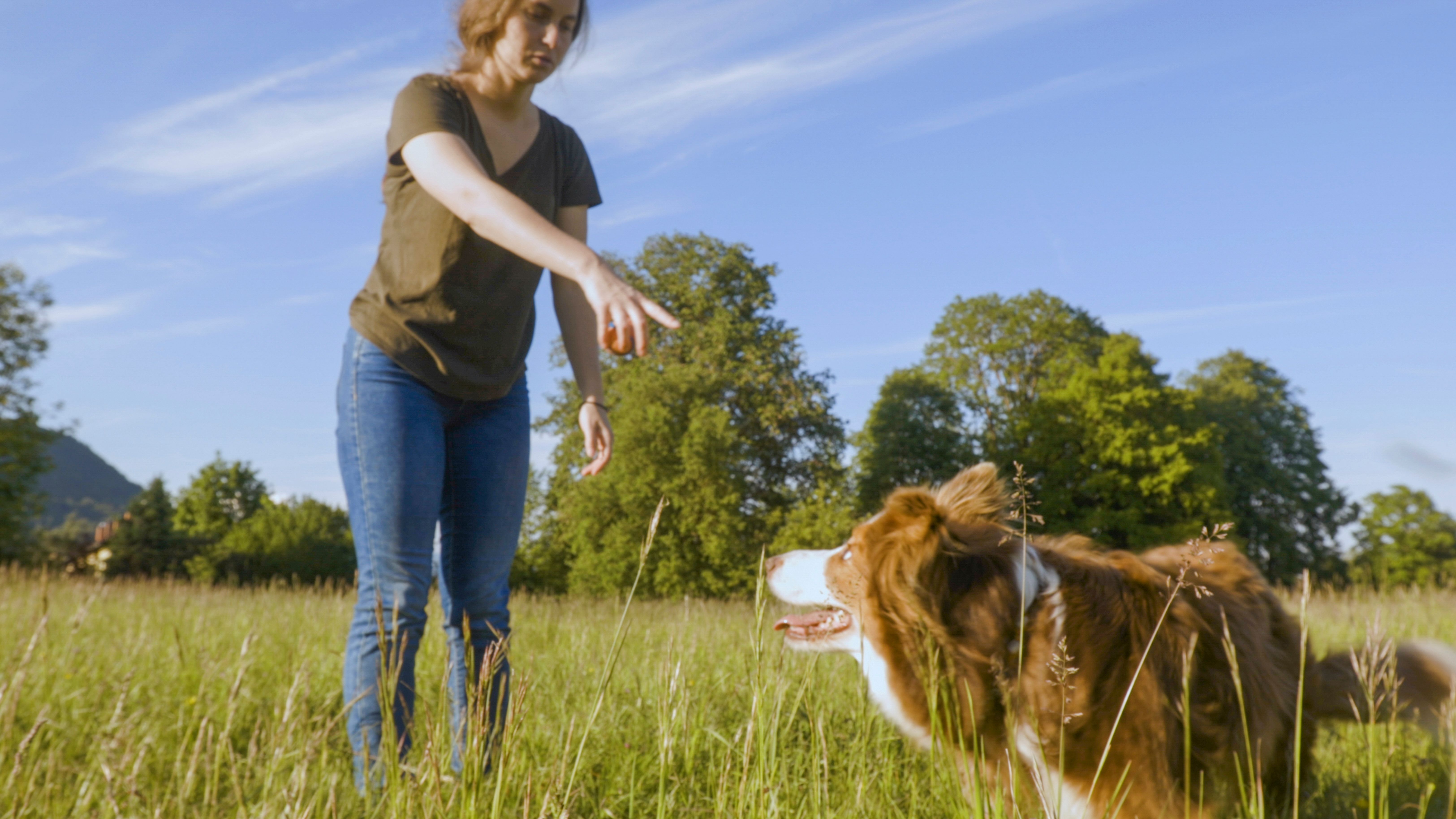 Young woman plays in grasses with dog