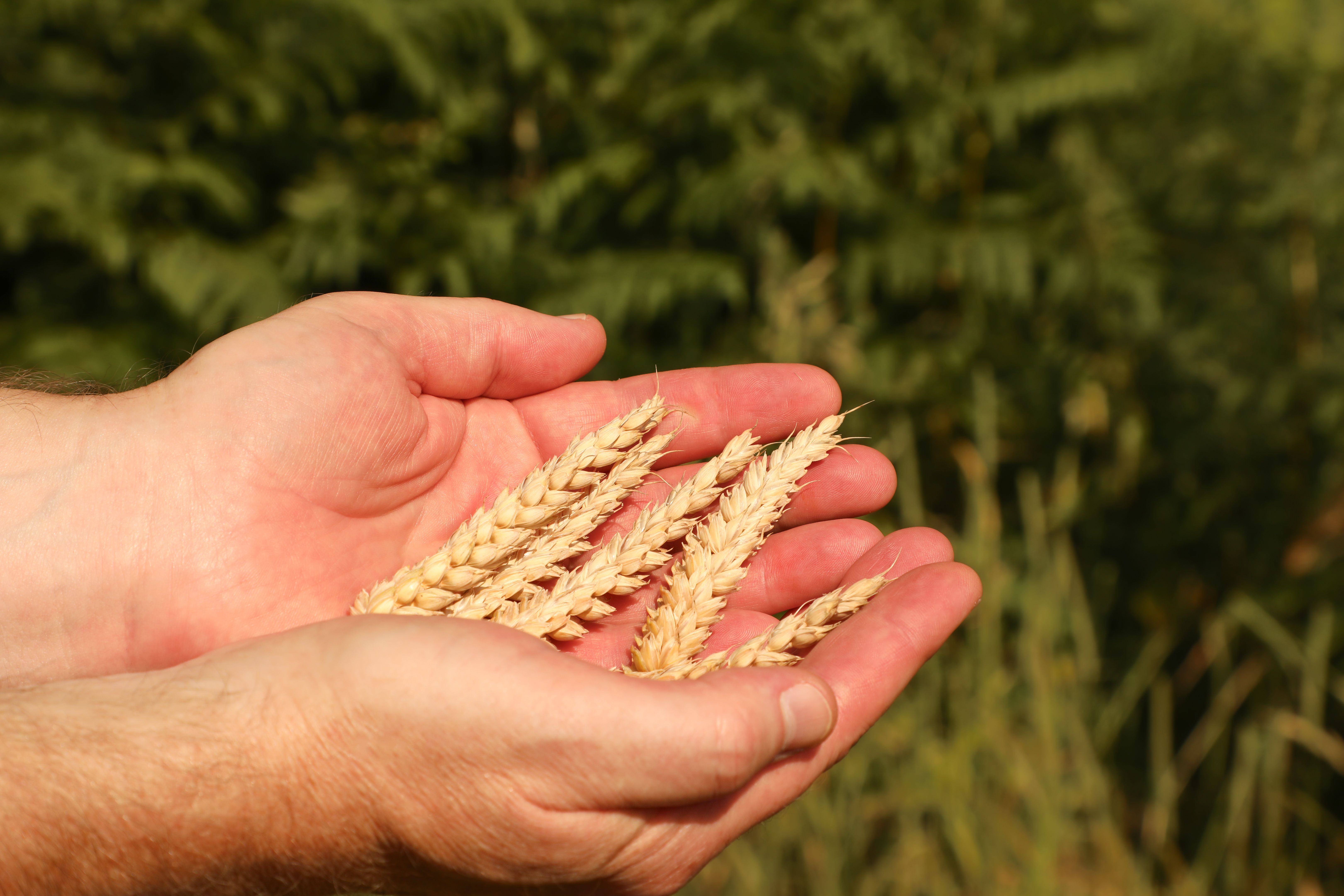 agriculture risk assessment