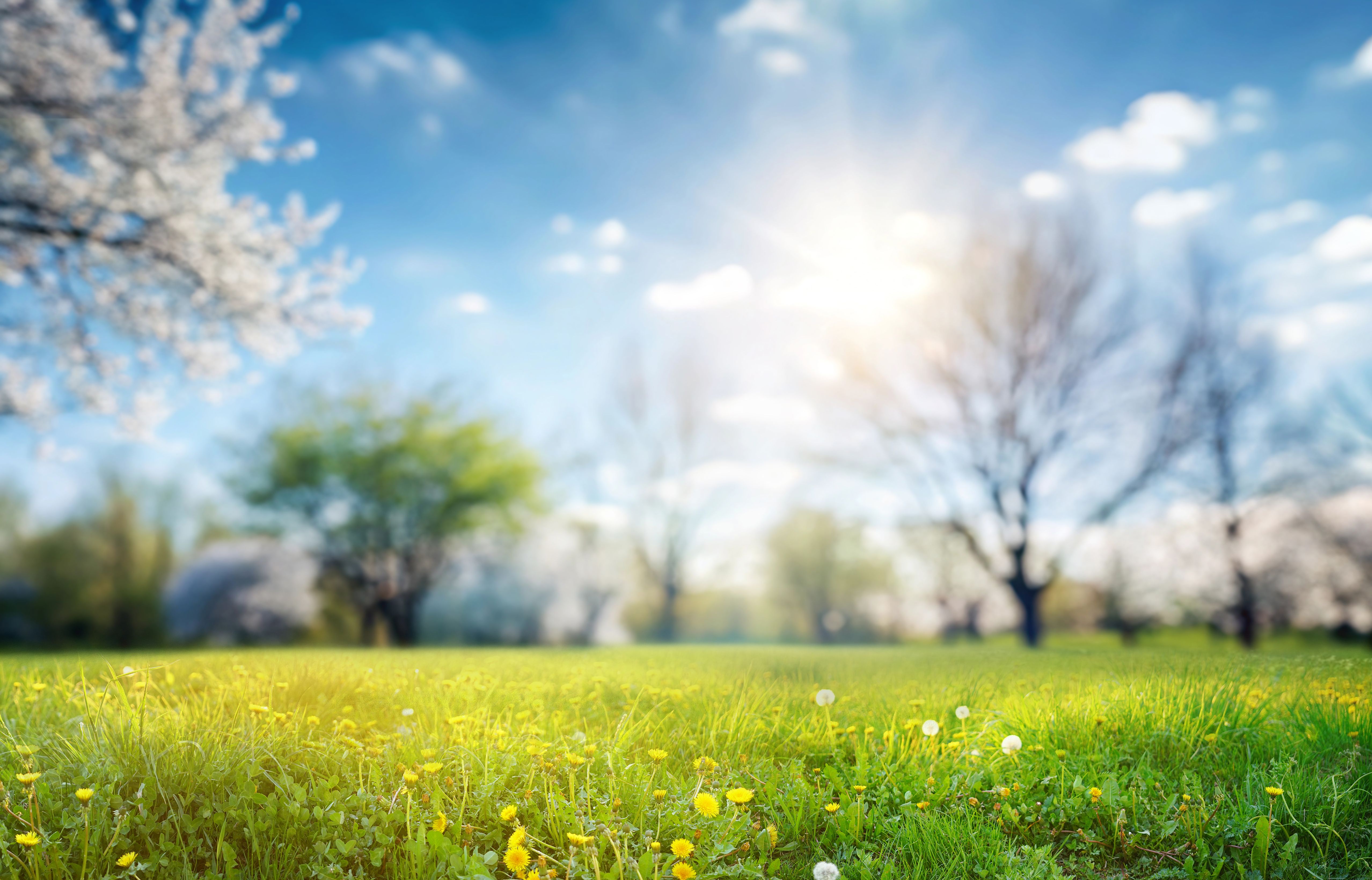 spring days