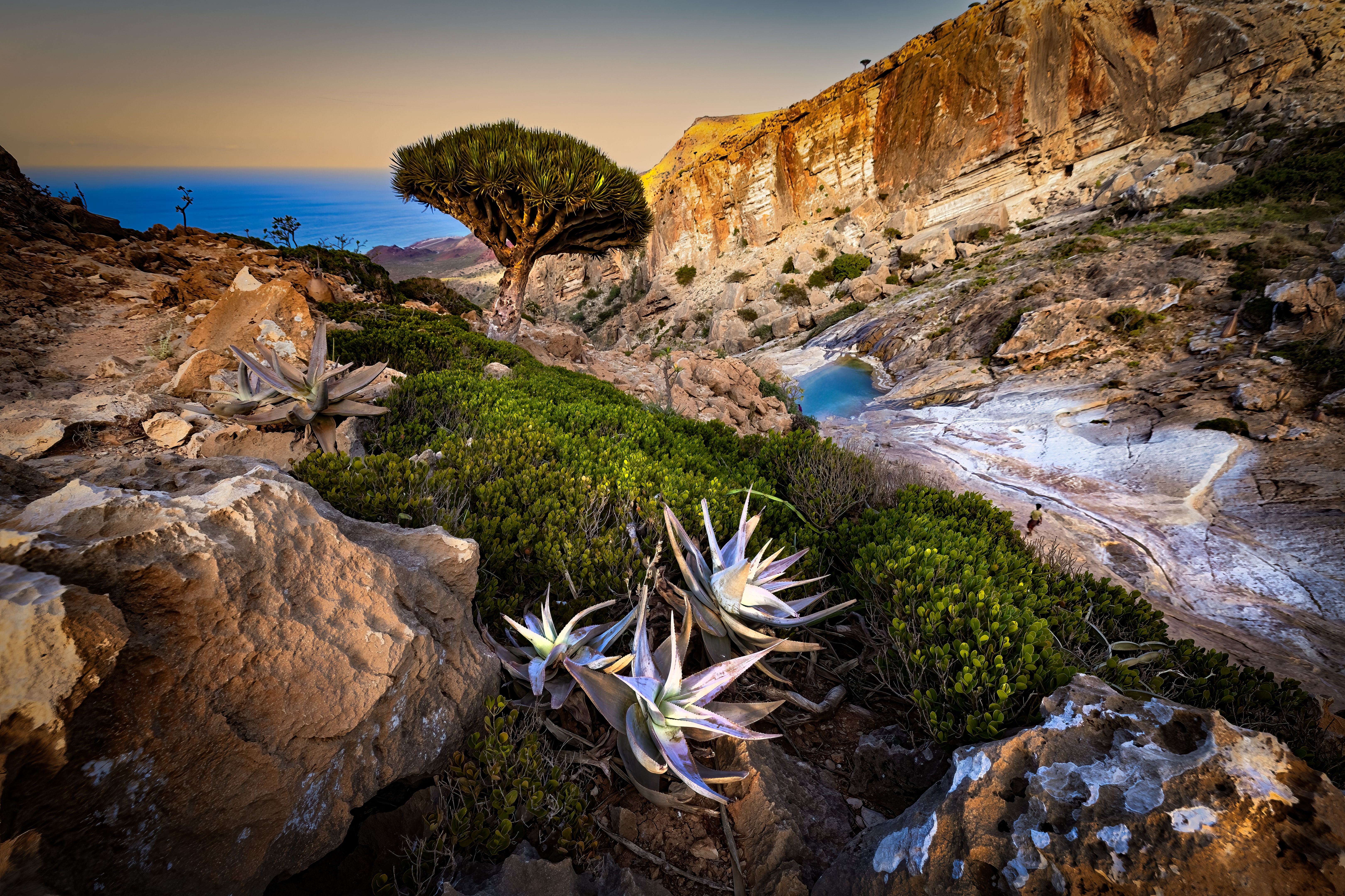 Socotra Island in Yemen