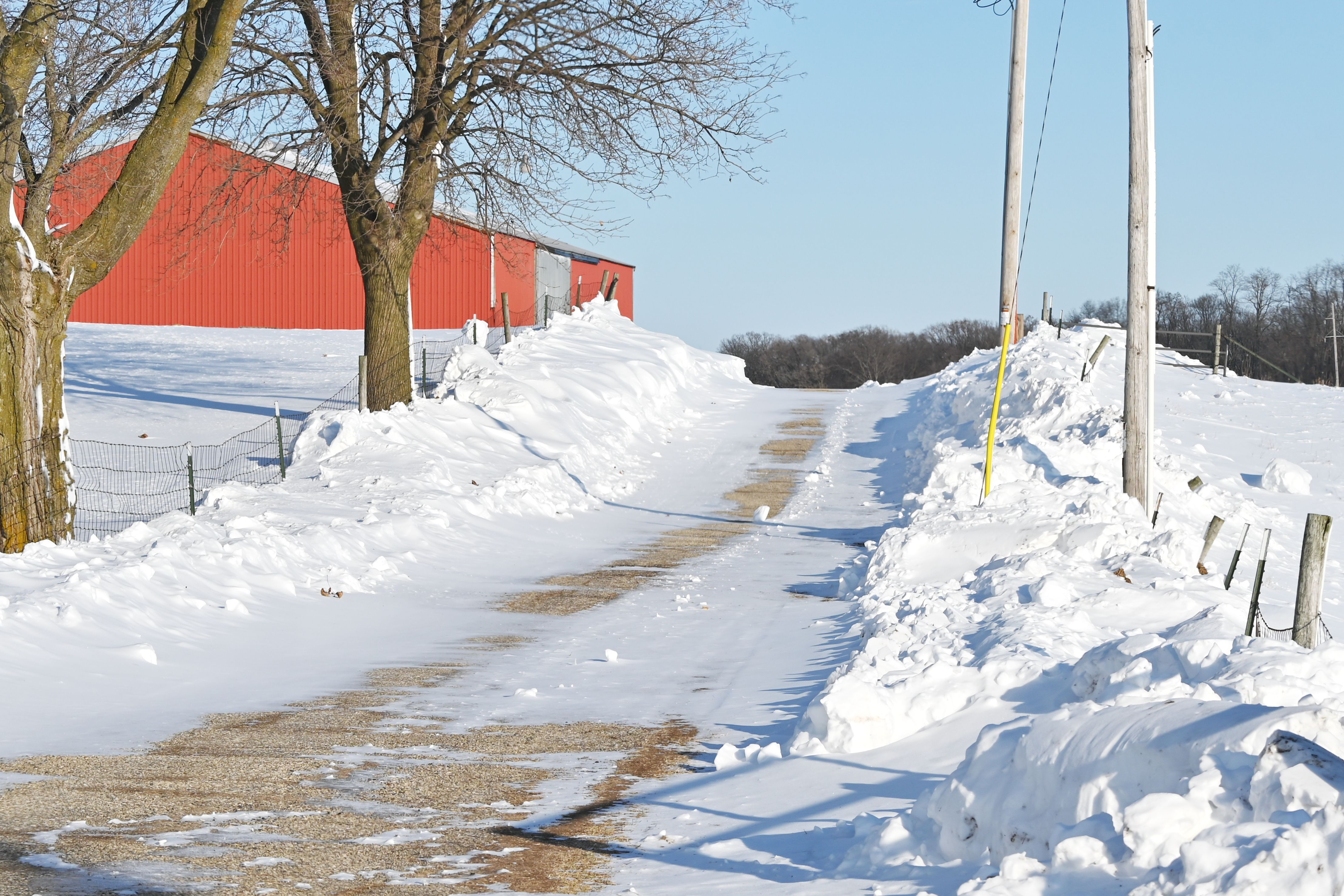 snowy gravel driveway