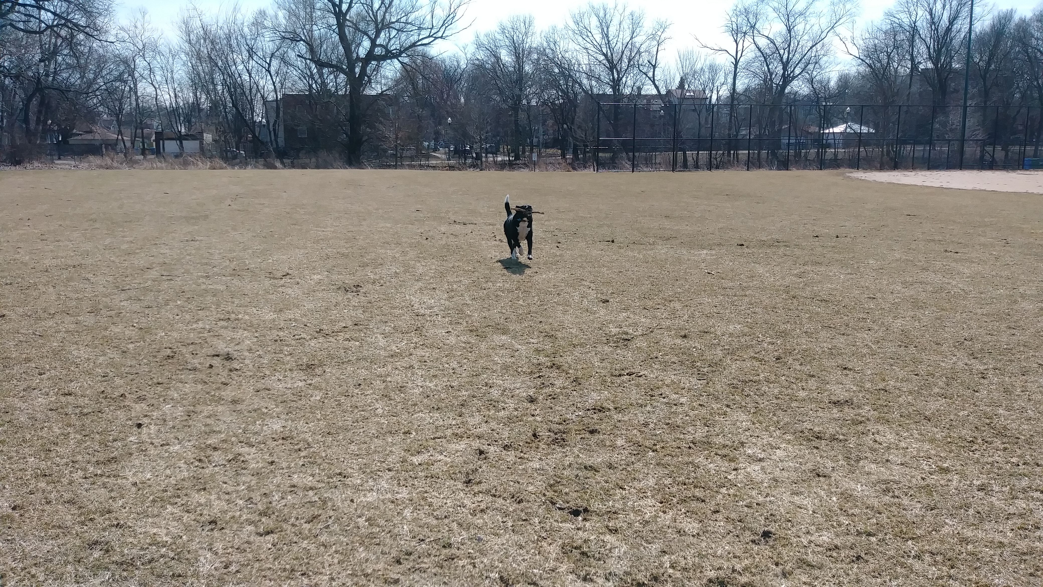 dog park Nashotah