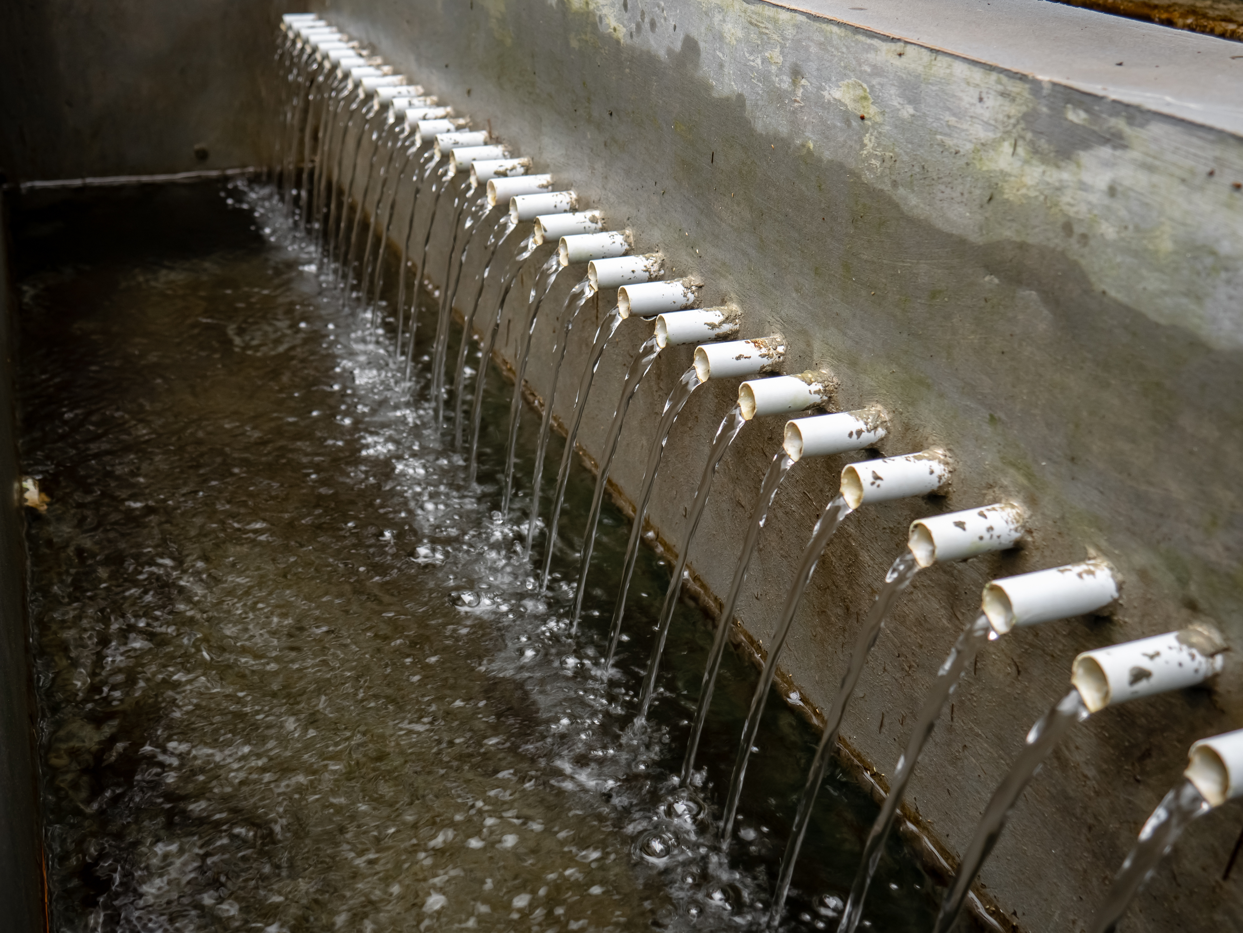 water pipes from a source in the natural setting