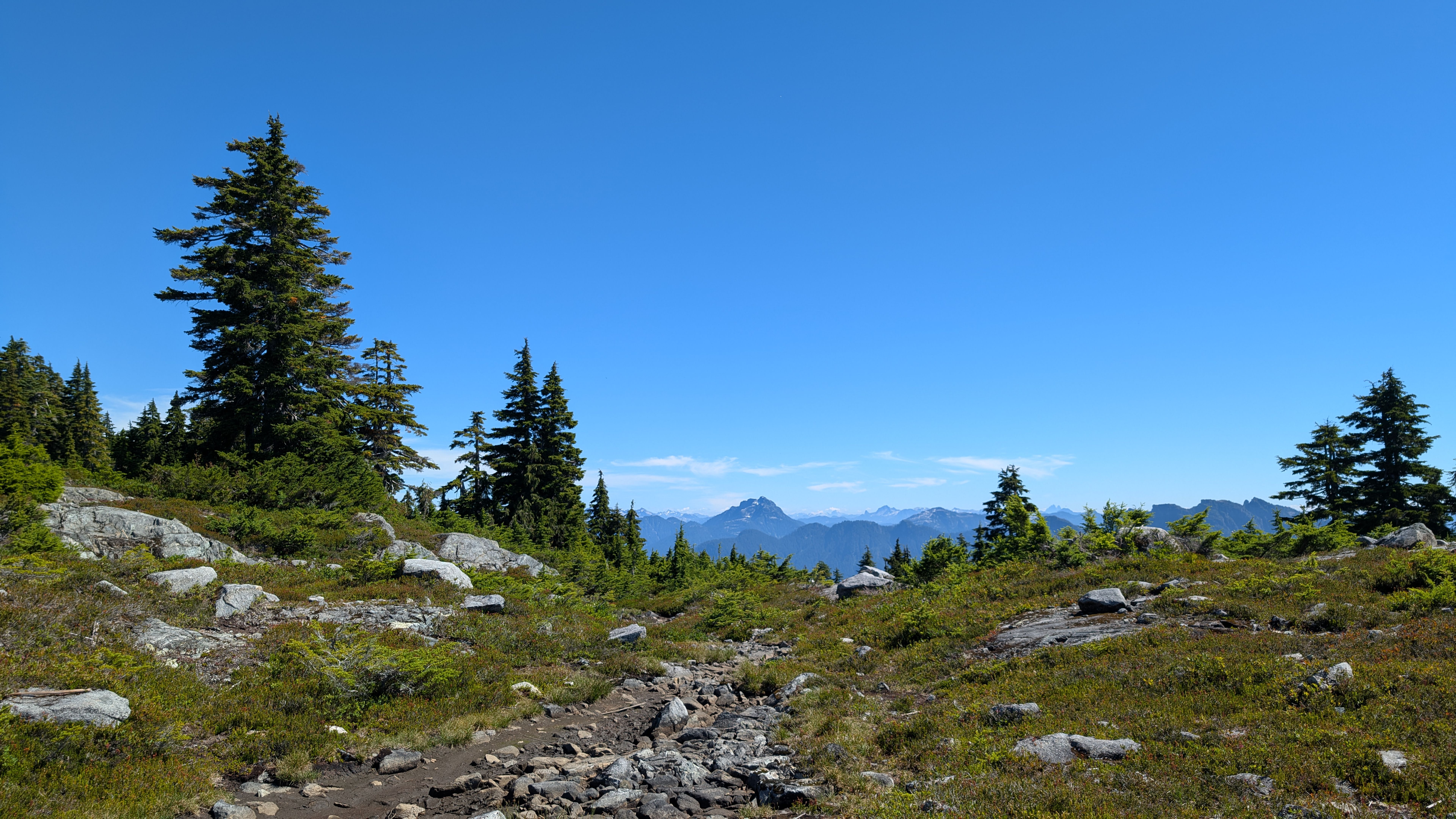 rocky mountain trail
