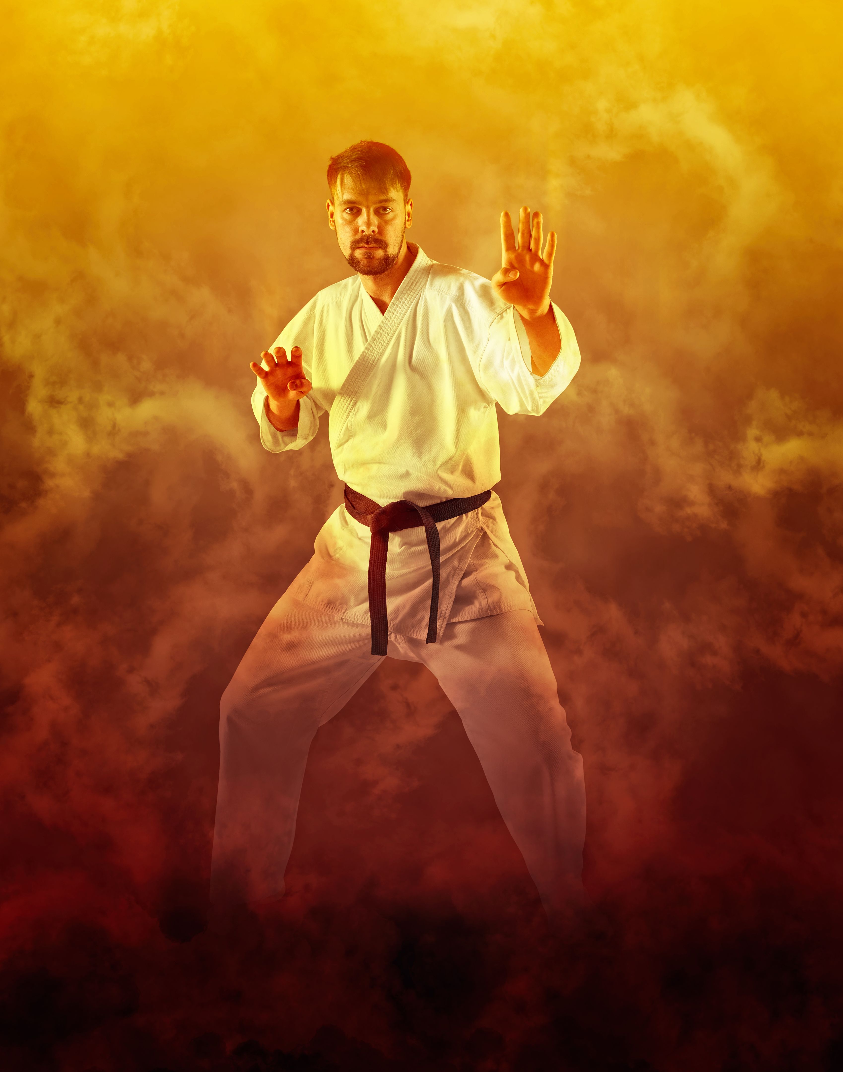 Martial arts masters on fire background