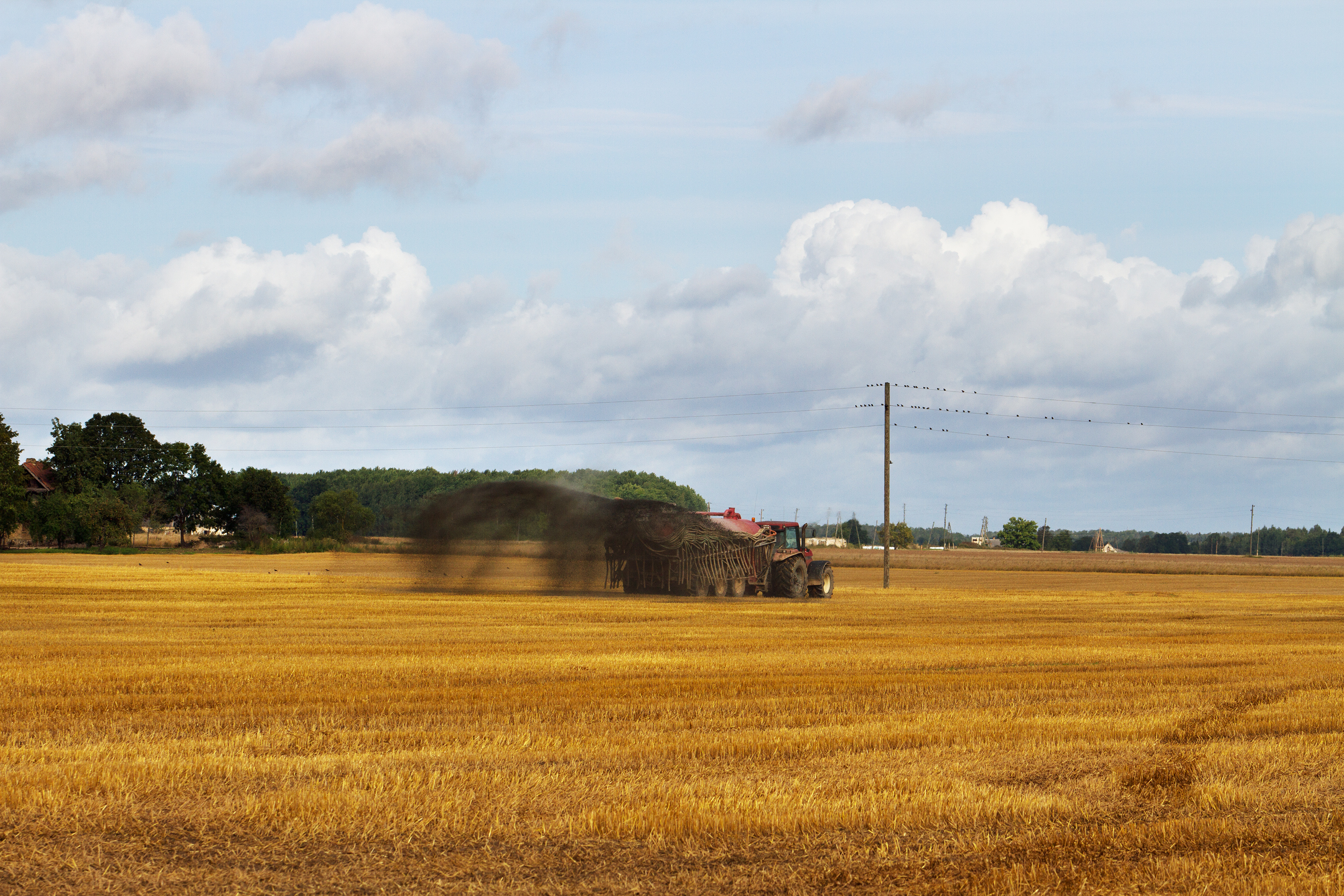Tractor on the field. Tractor on the field.