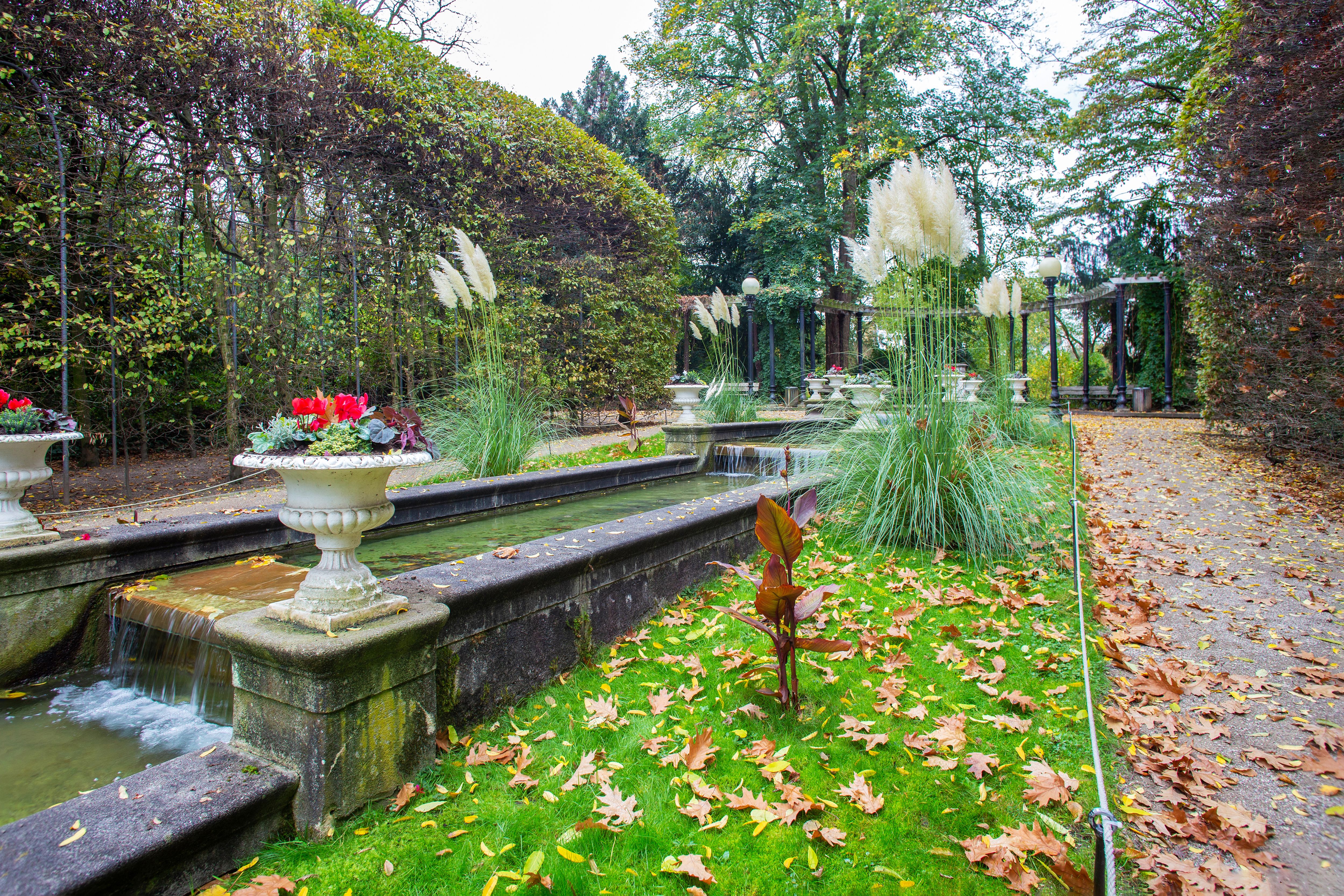 botanical garden cologne