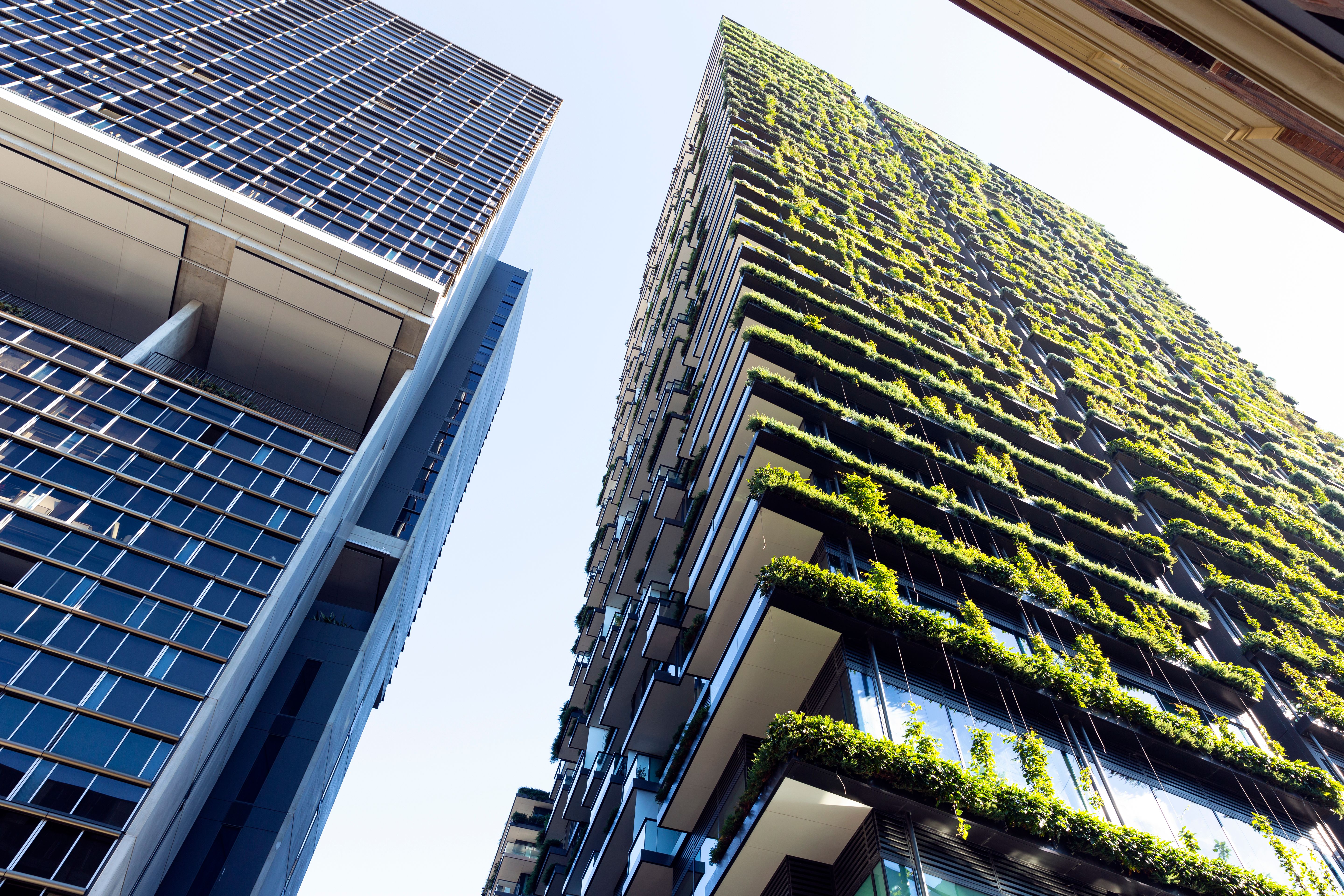 Embracing Green: Expert Tips for Sustainable Architecture Design