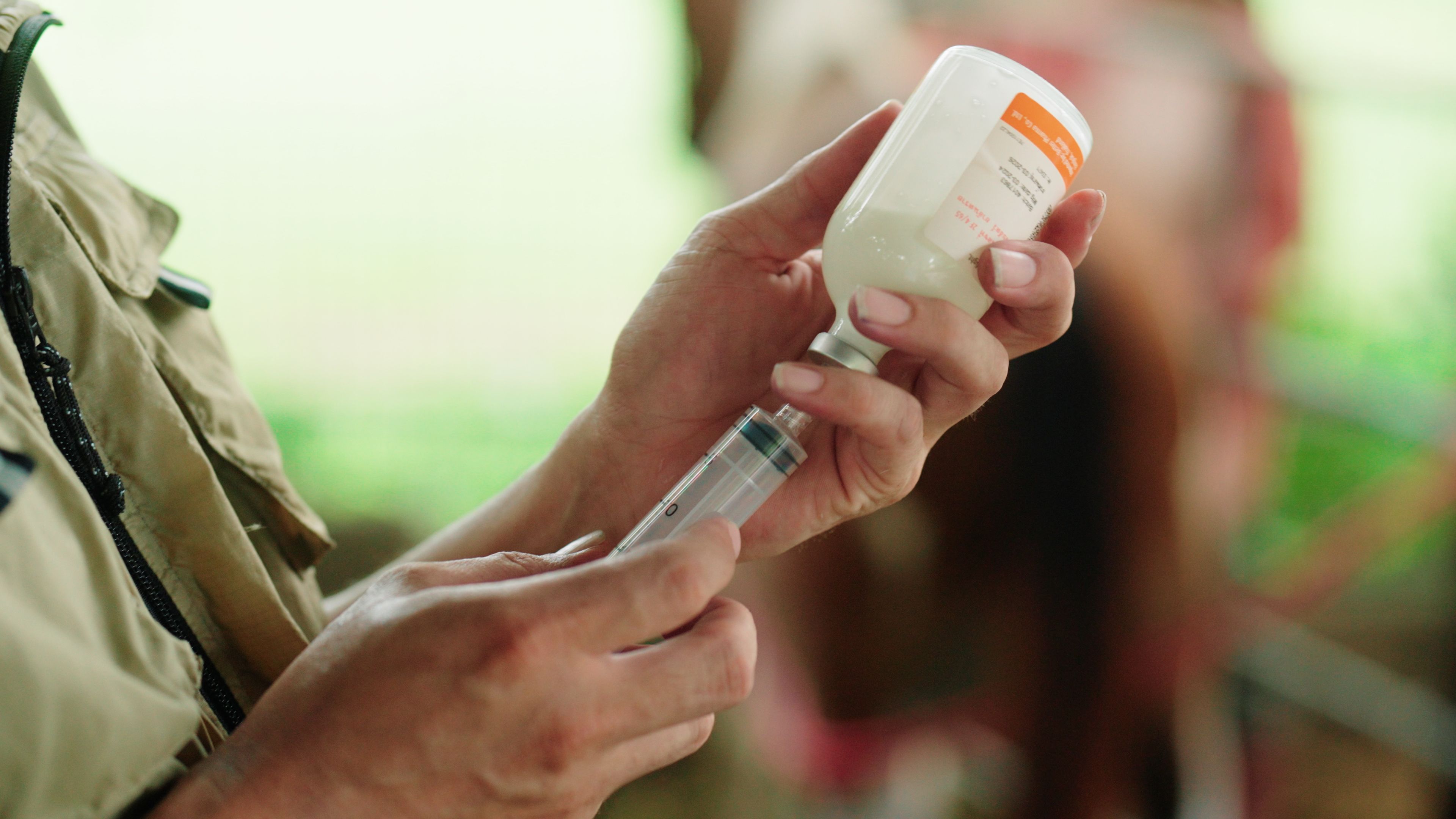 horse health monitoring