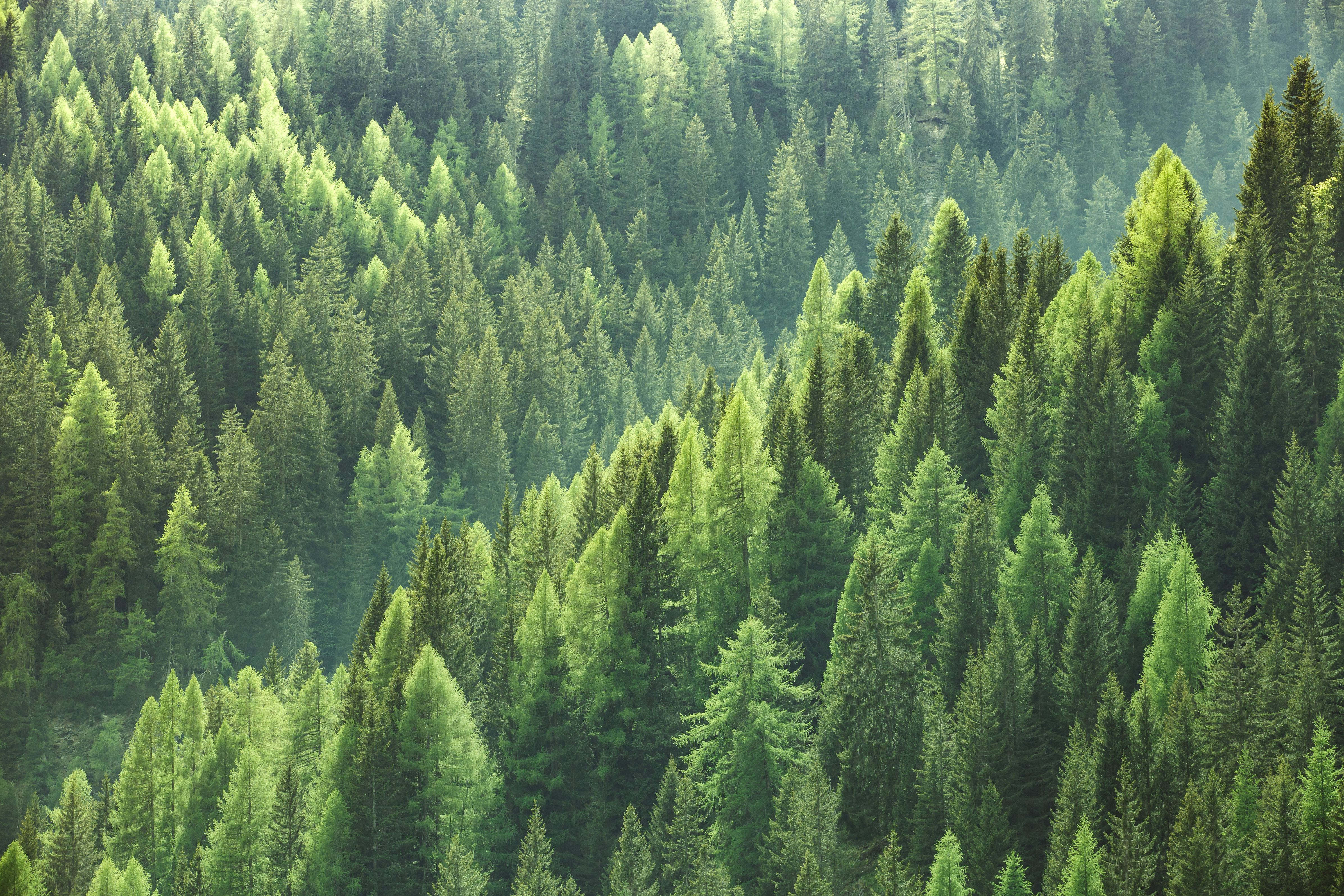 Casas de lujo cerca a la naturaleza Casas de lujo cerca a la naturaleza