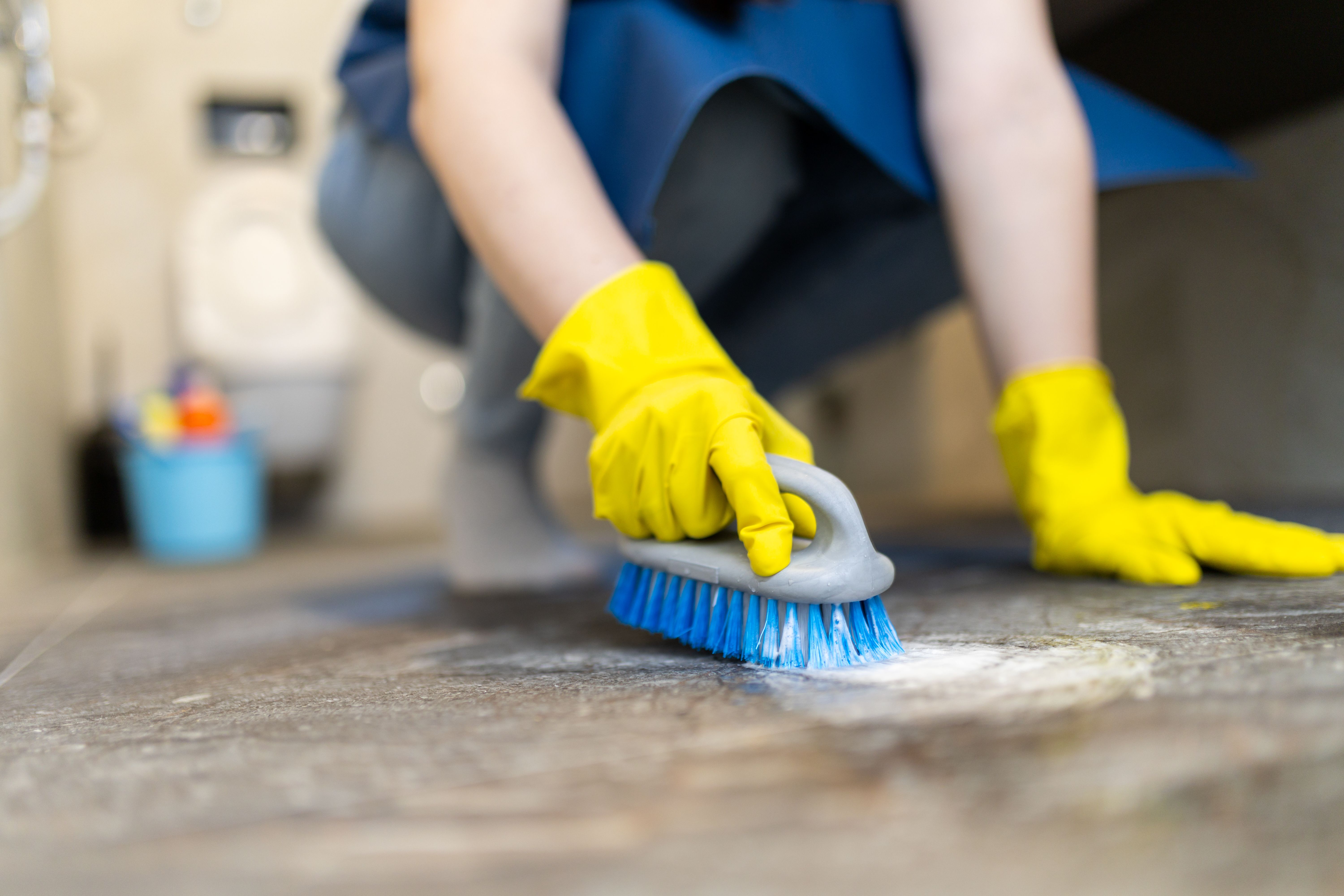 professional floor cleaning