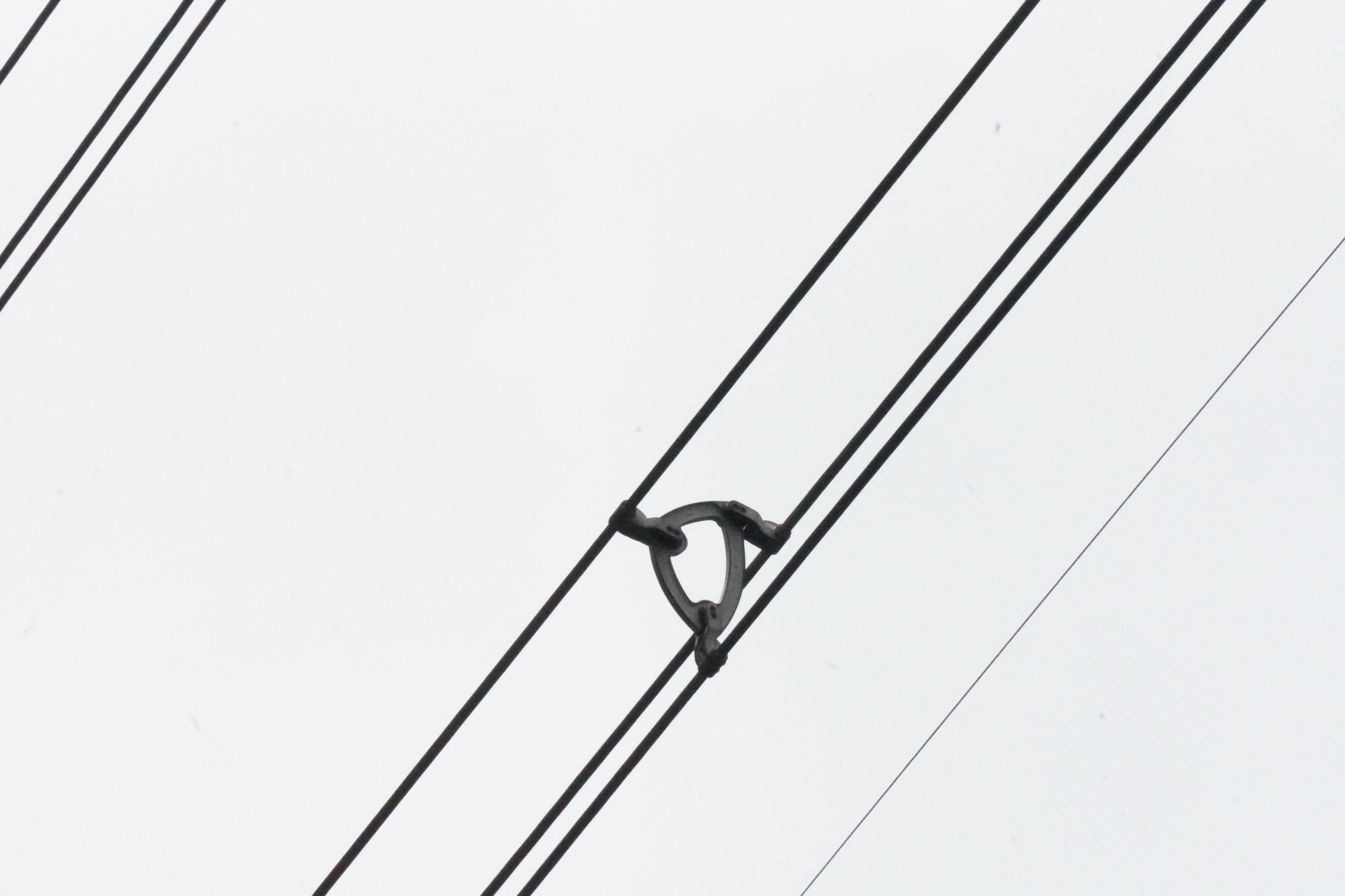 bird flight diverter