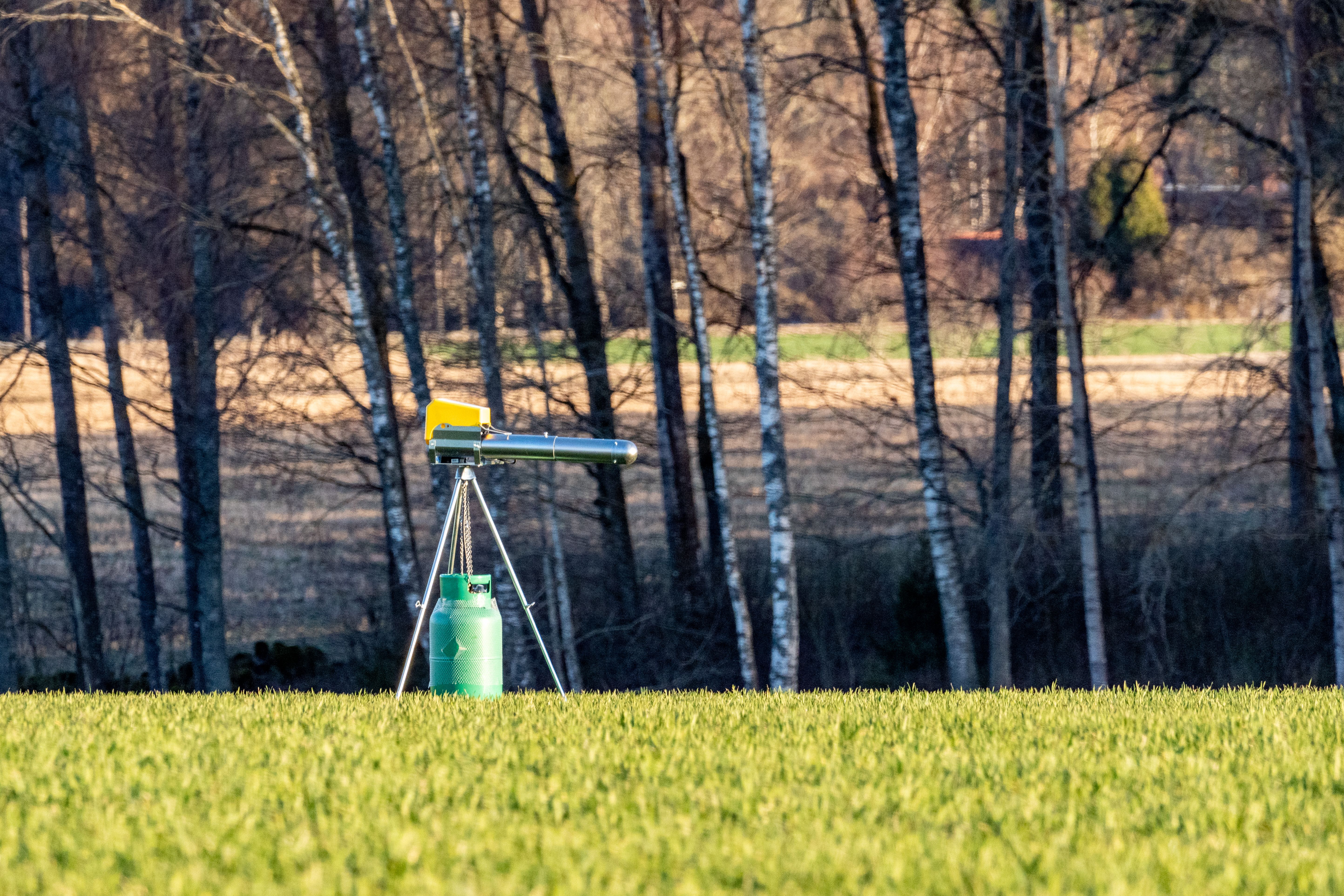 bird deterrent technology