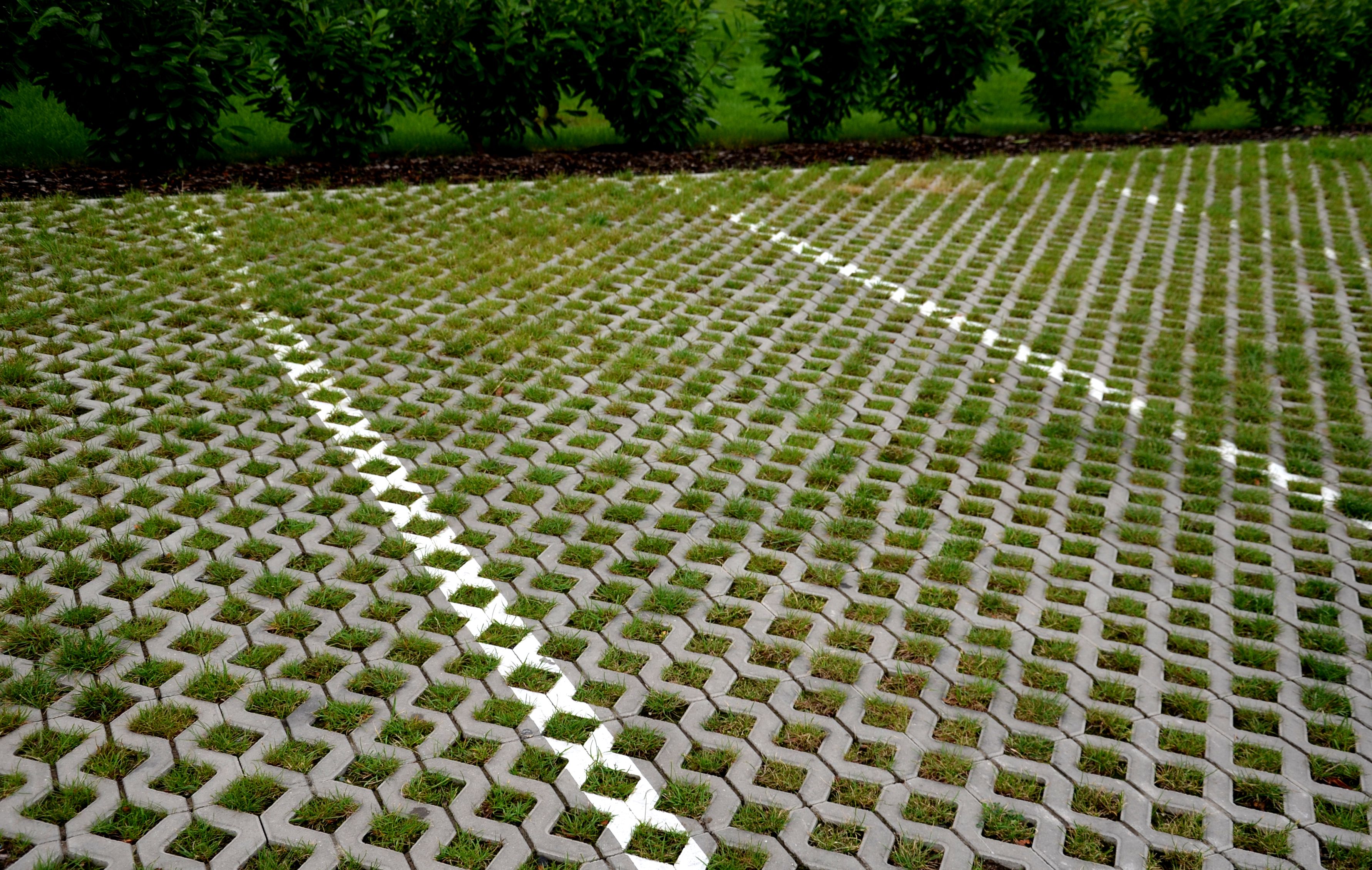 green paving