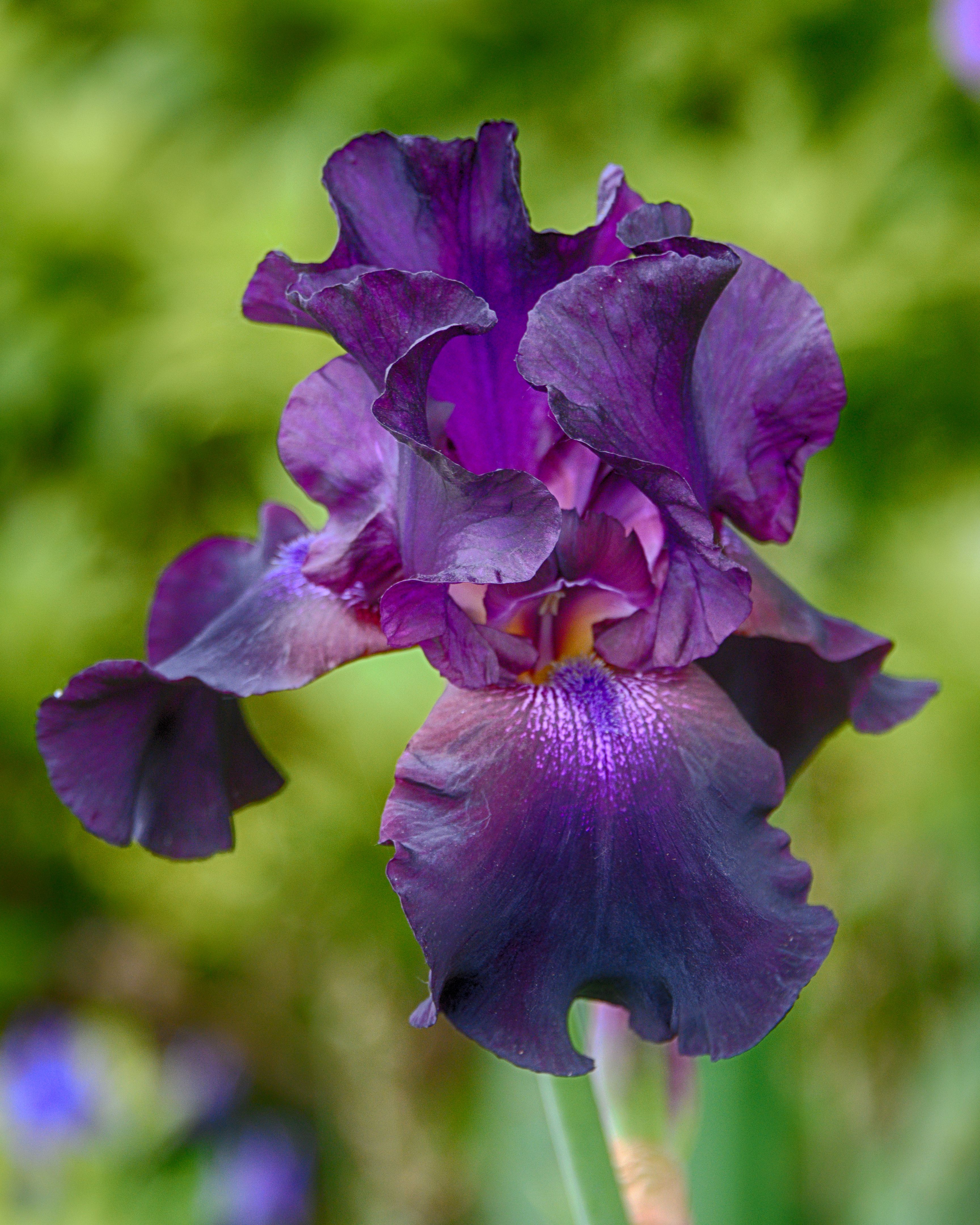 composition photography