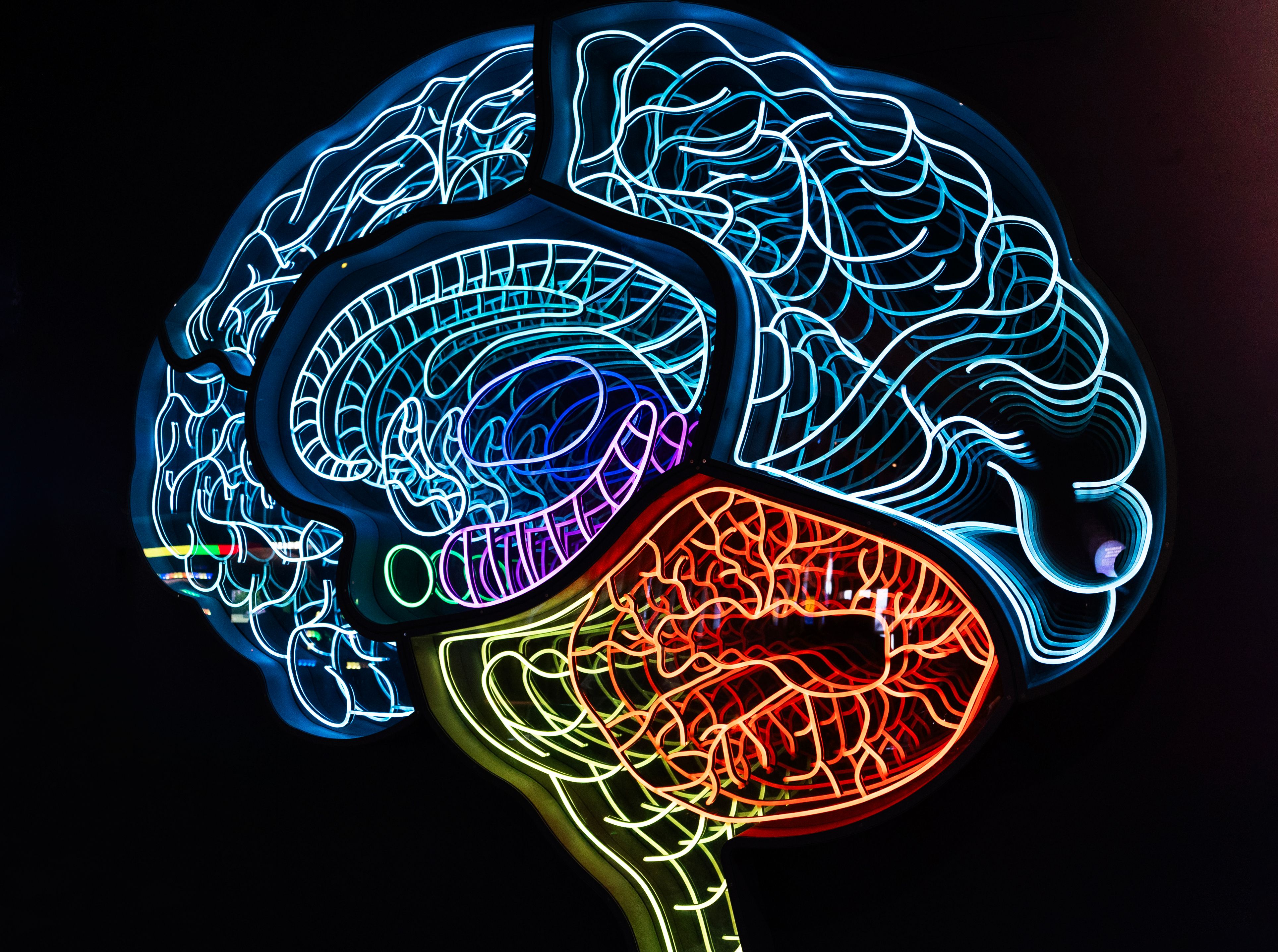 tinnitus and the effect of neuroplasticity on the brain