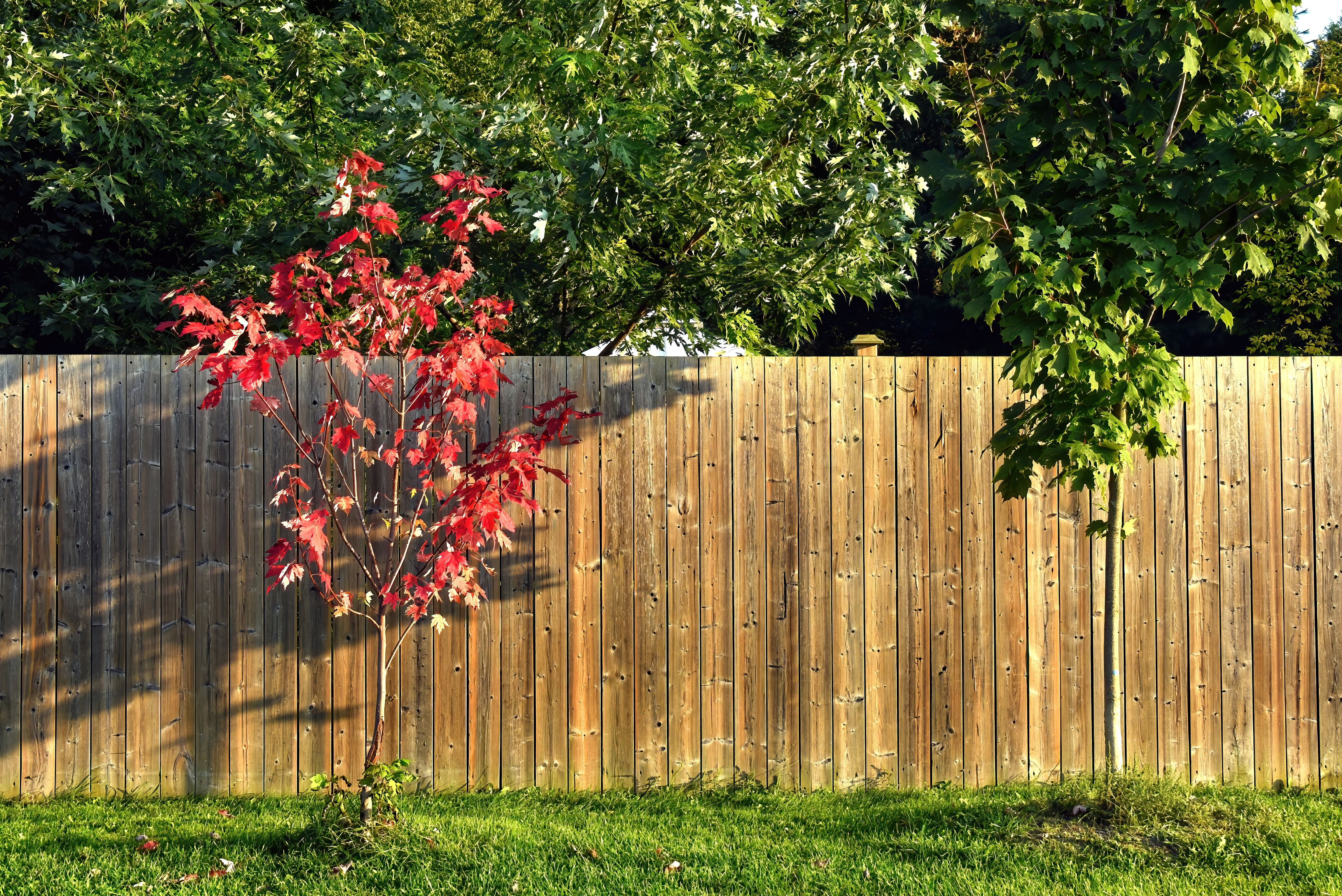 weather resistant fence