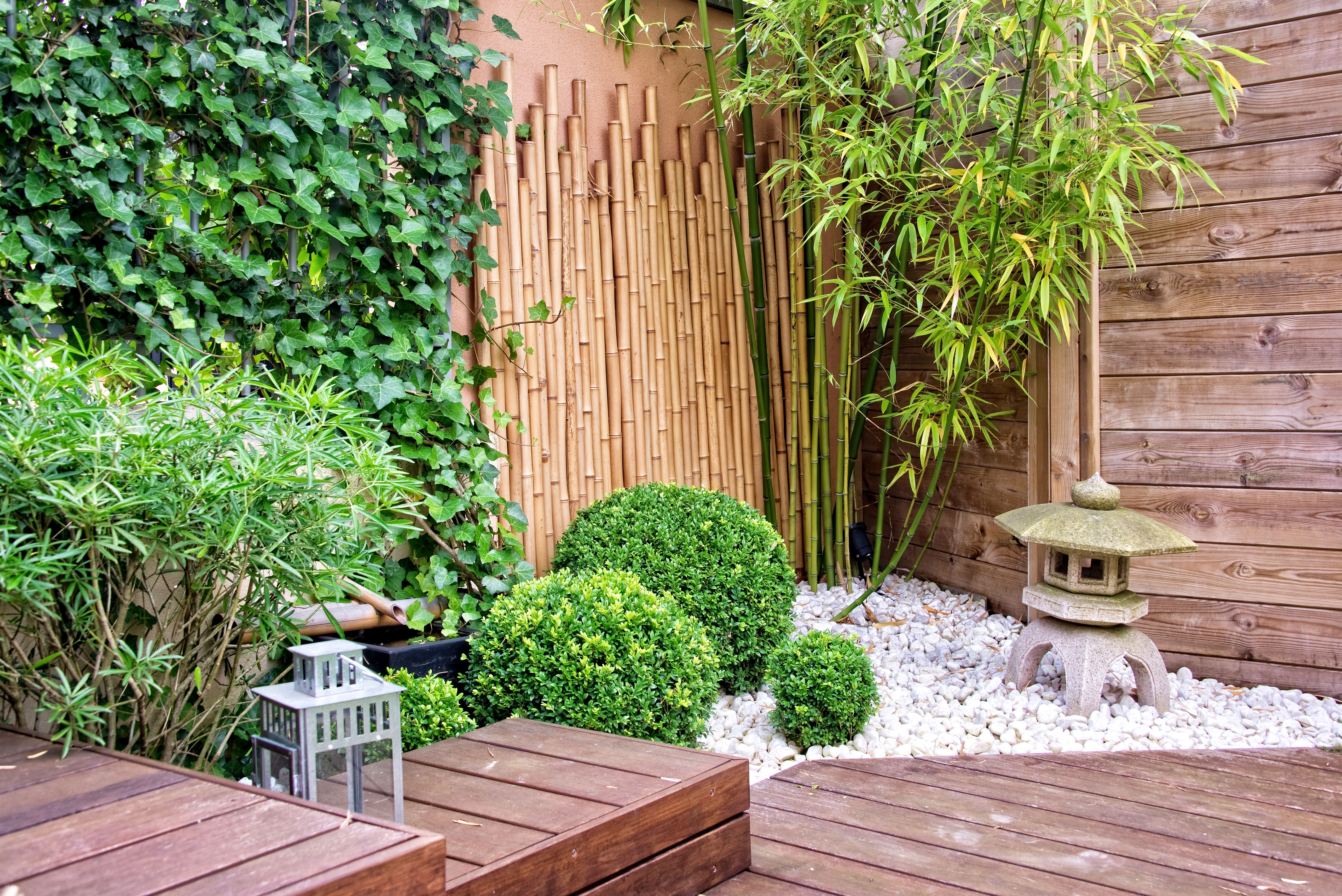 bamboo patio