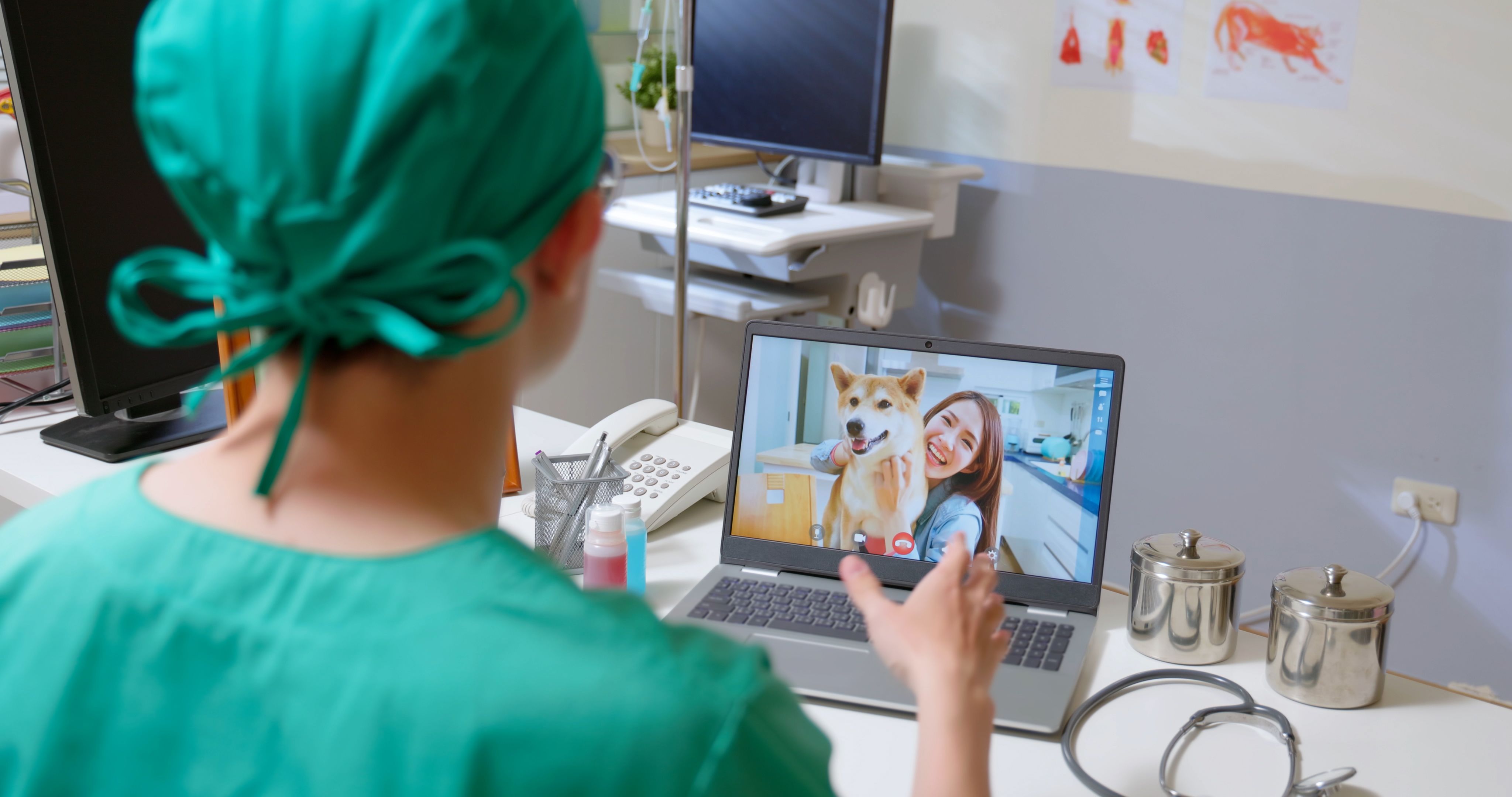 veterinary video call