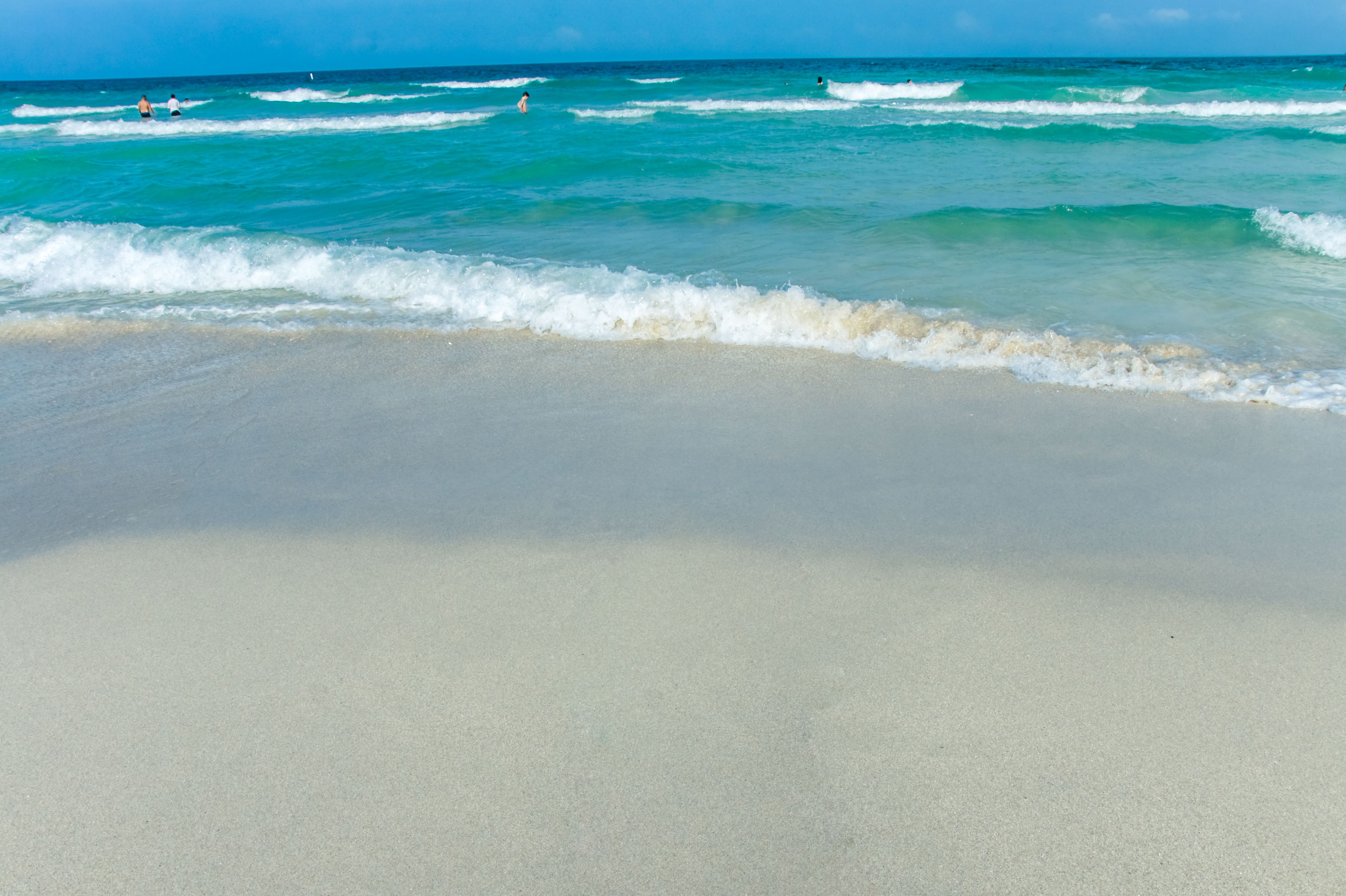 wildlife south walton