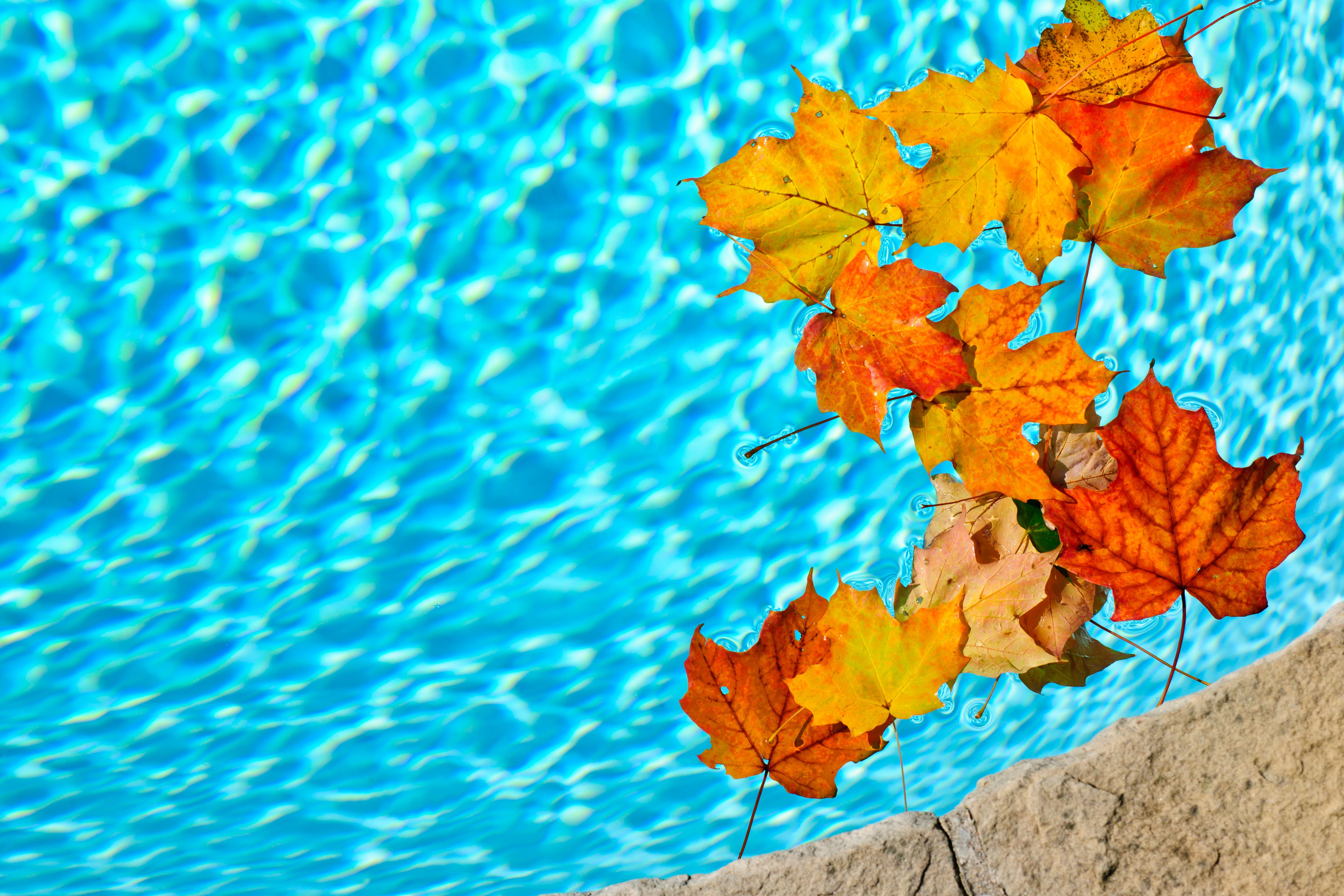 pool seasonal maintenance