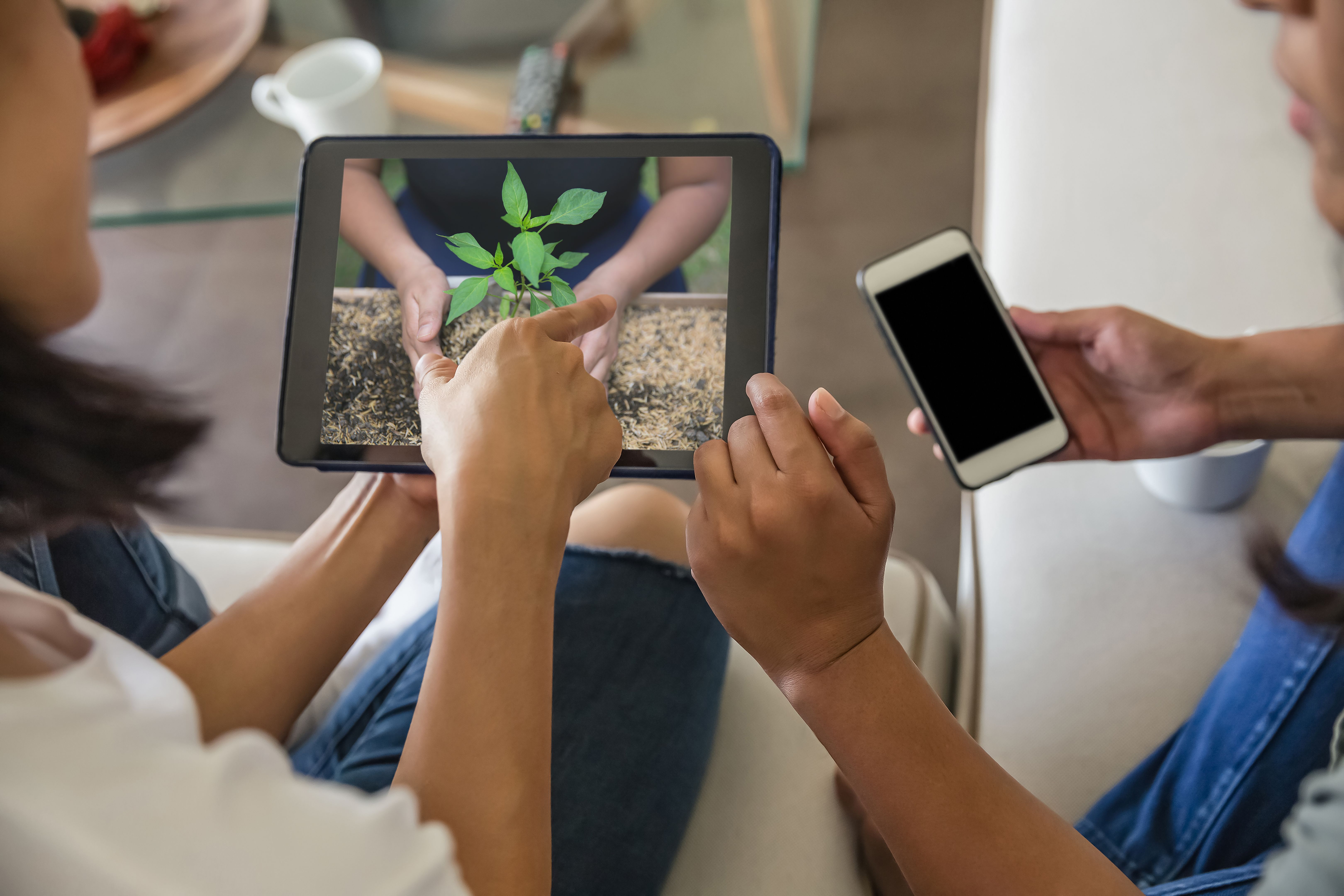 Two female friends watching online gardening tutorial from digital tablet