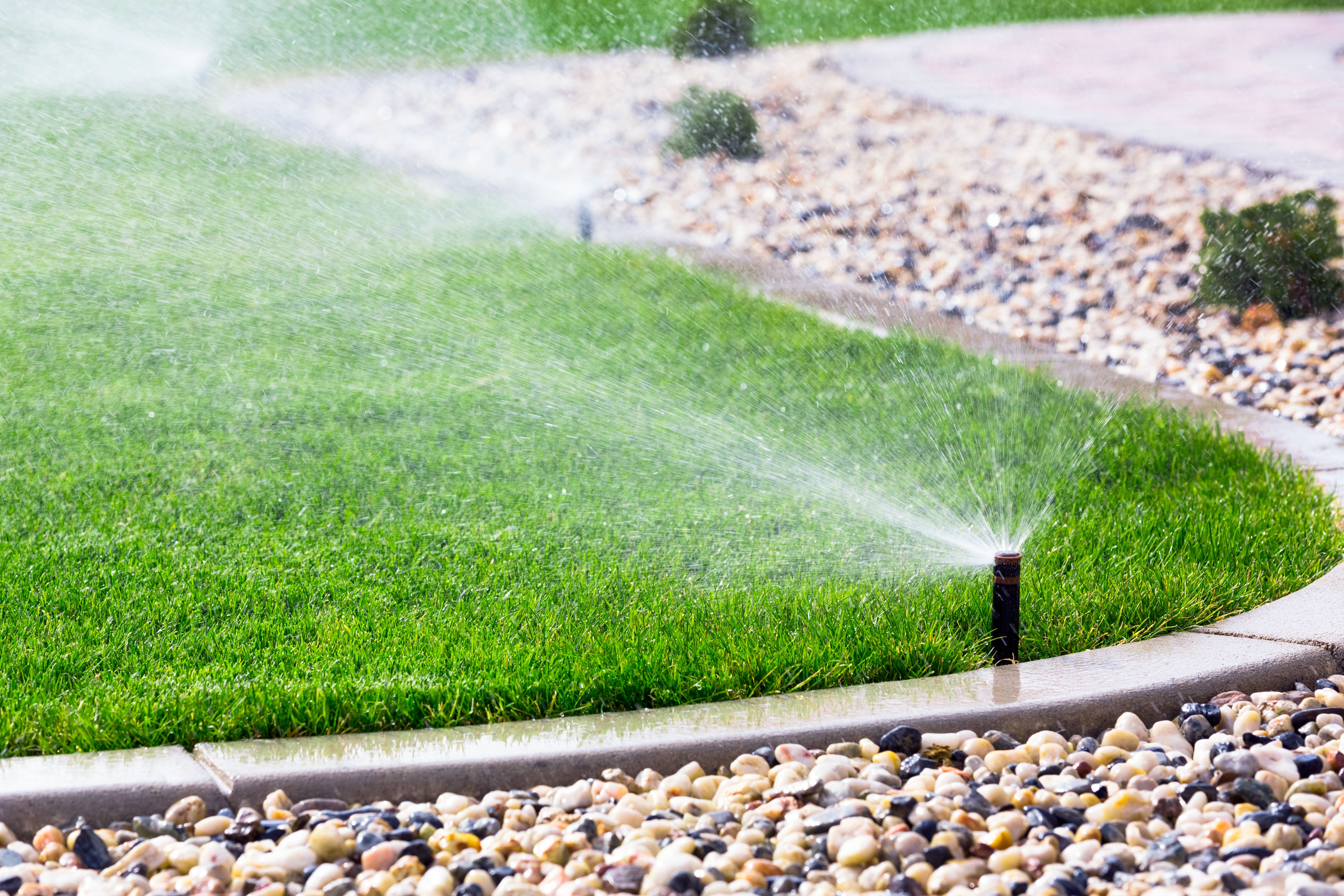 watering lawn