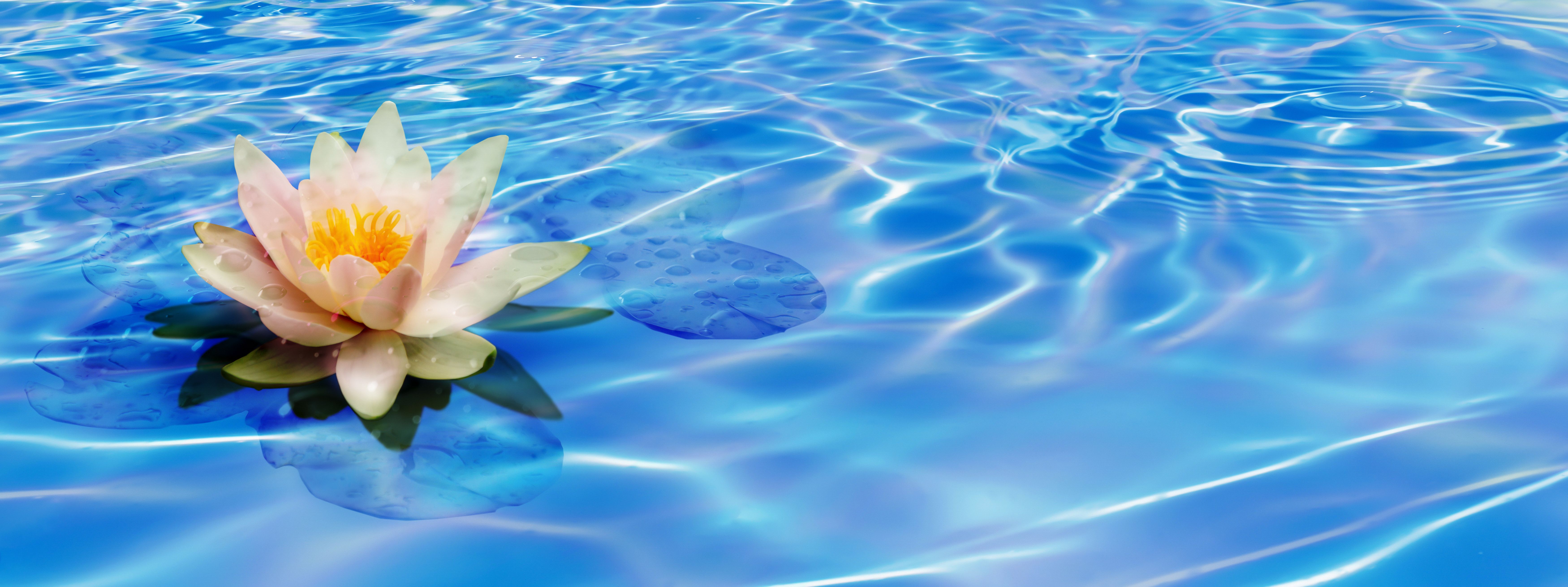 natural pool products