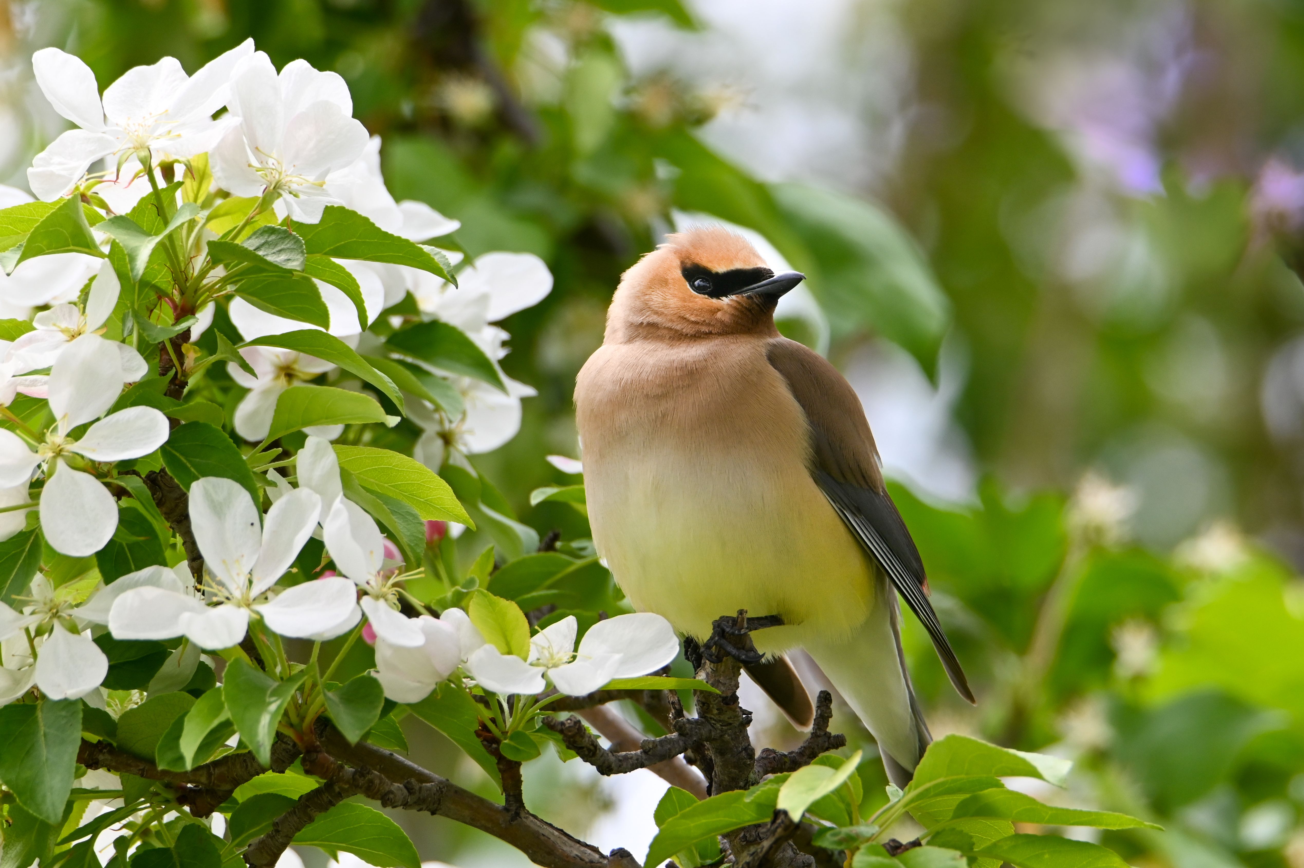 photography composition