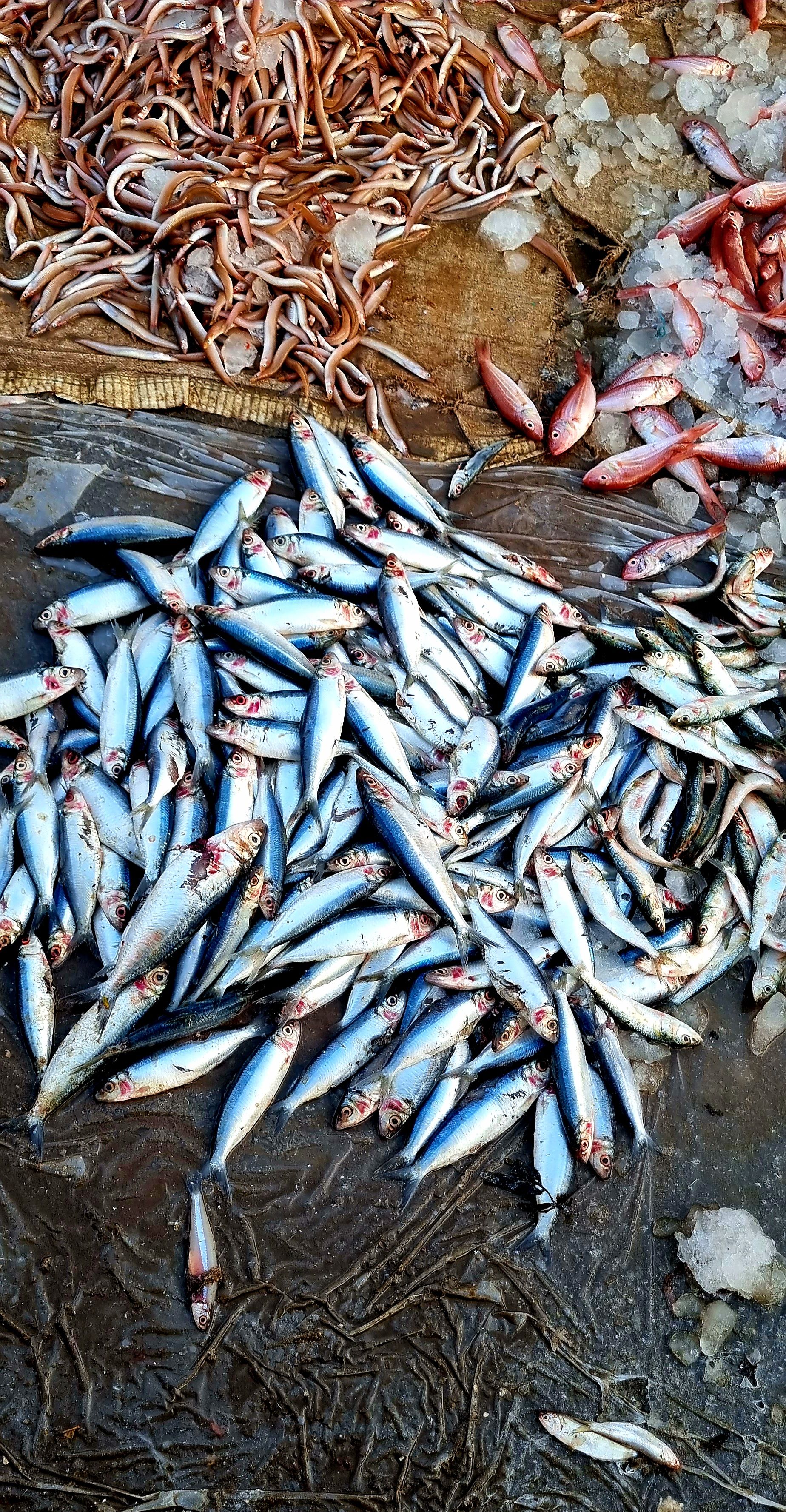tamil nadu street market