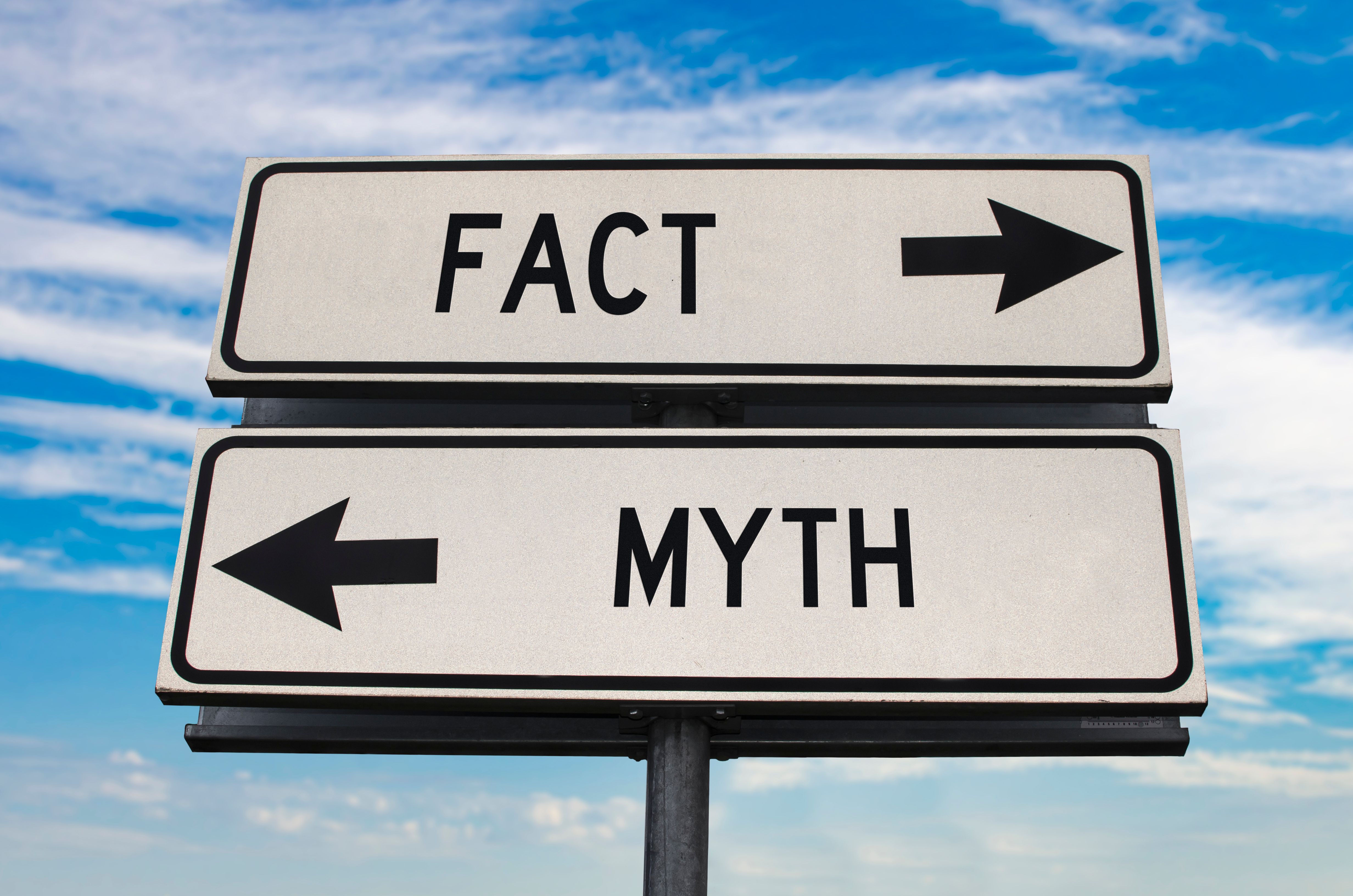 Myths About Early Childhood Instruction: Debunking Common Misconceptions