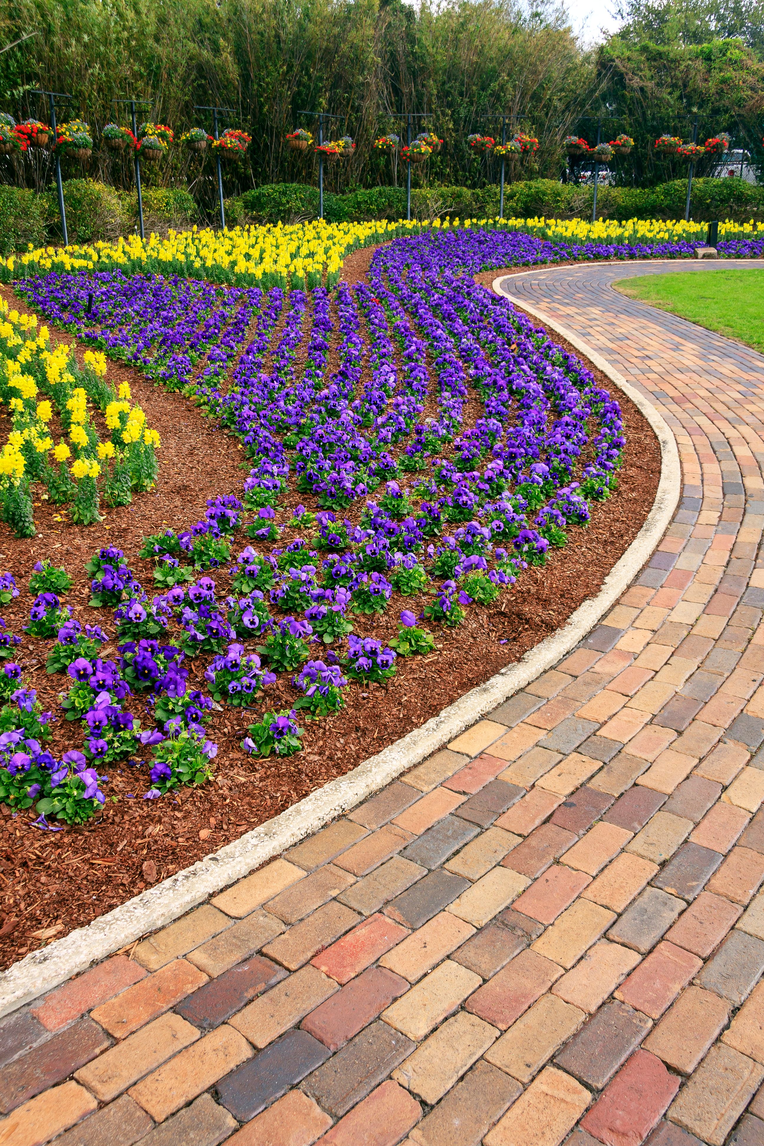 curb appeal improvement