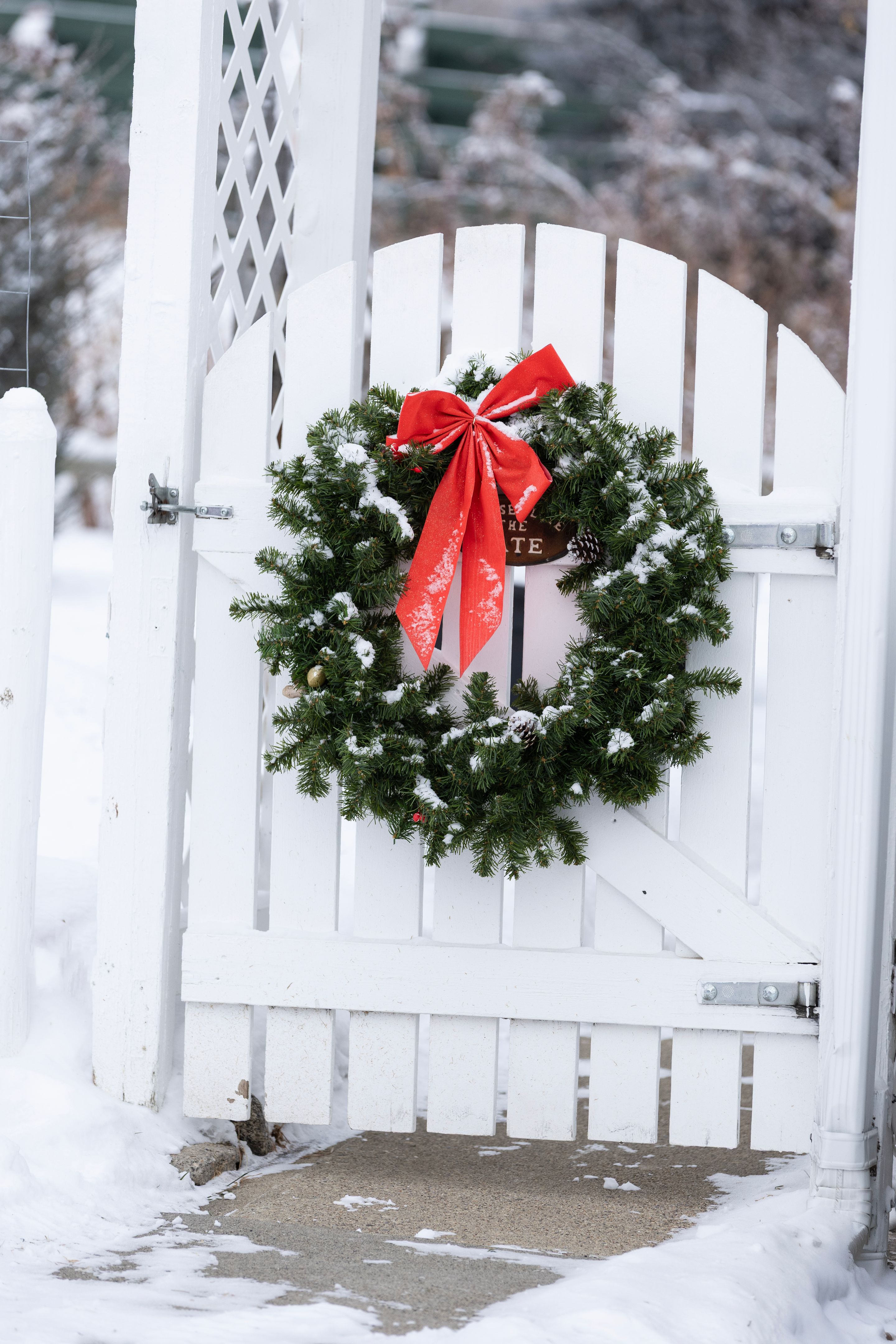 custom wood fence