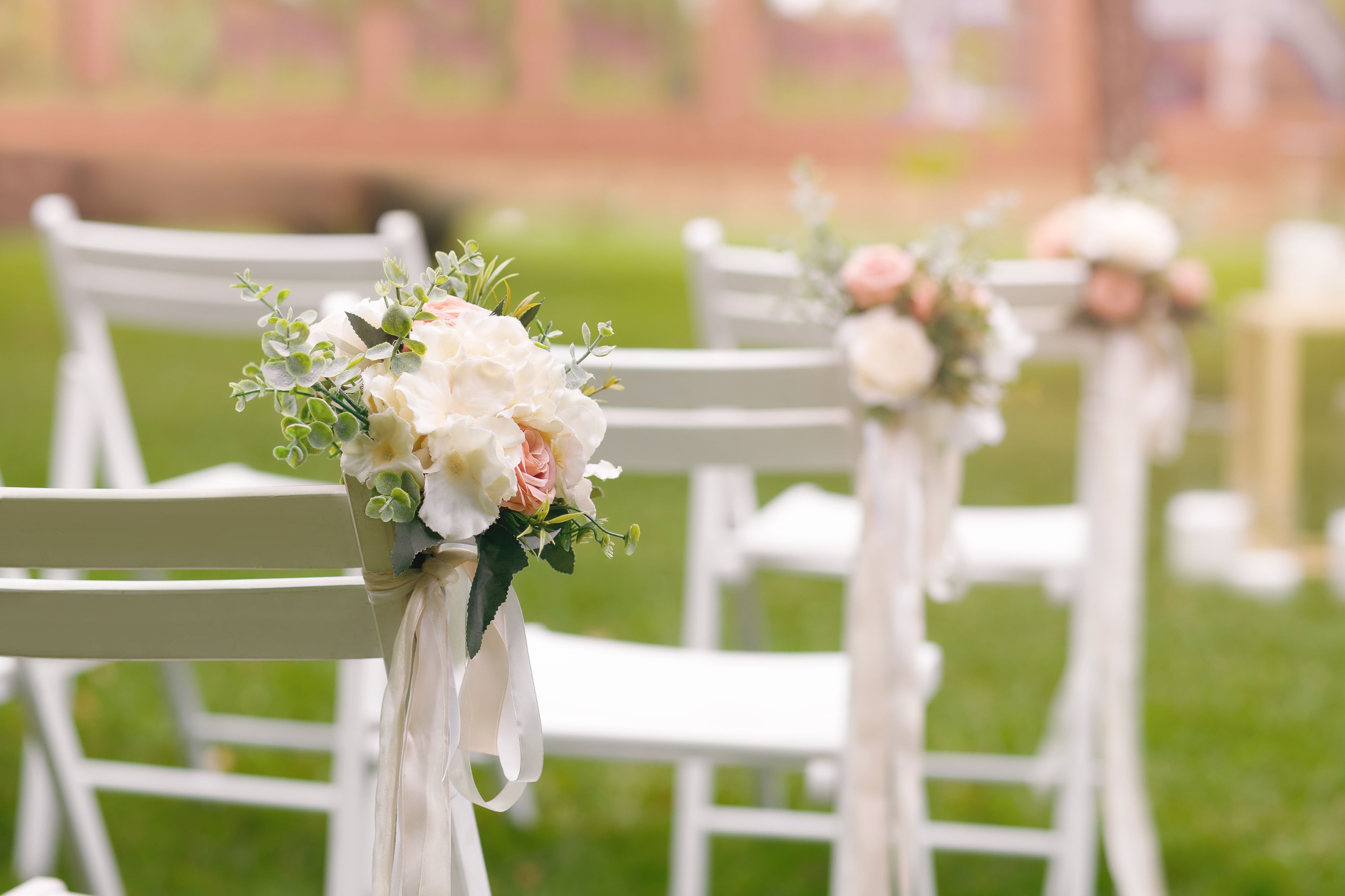 White chairs decorated with flowers on a green lawn for a wedding ceremony White chairs decorated with flowers on a green lawn for a wedding ceremony