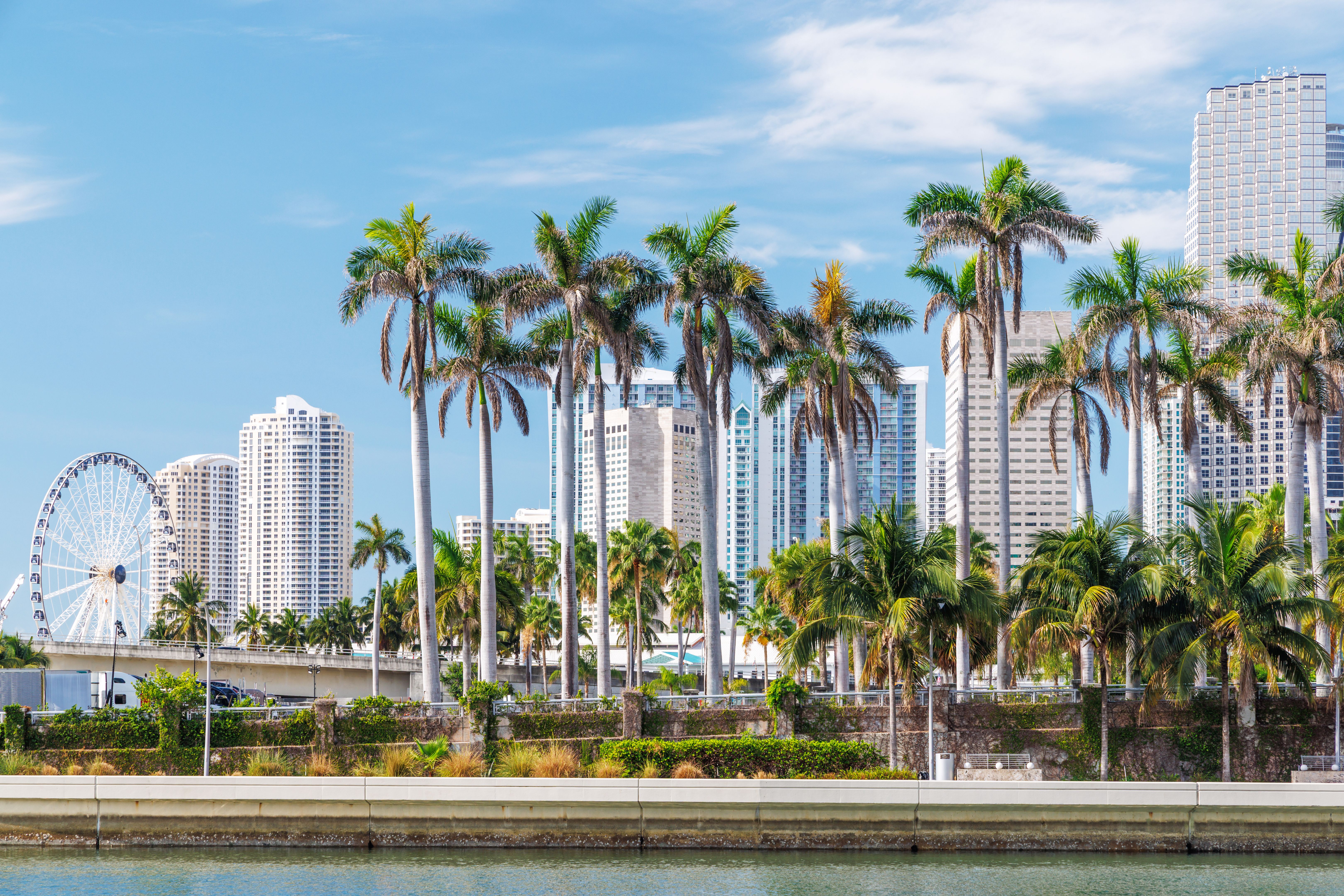 south florida culture