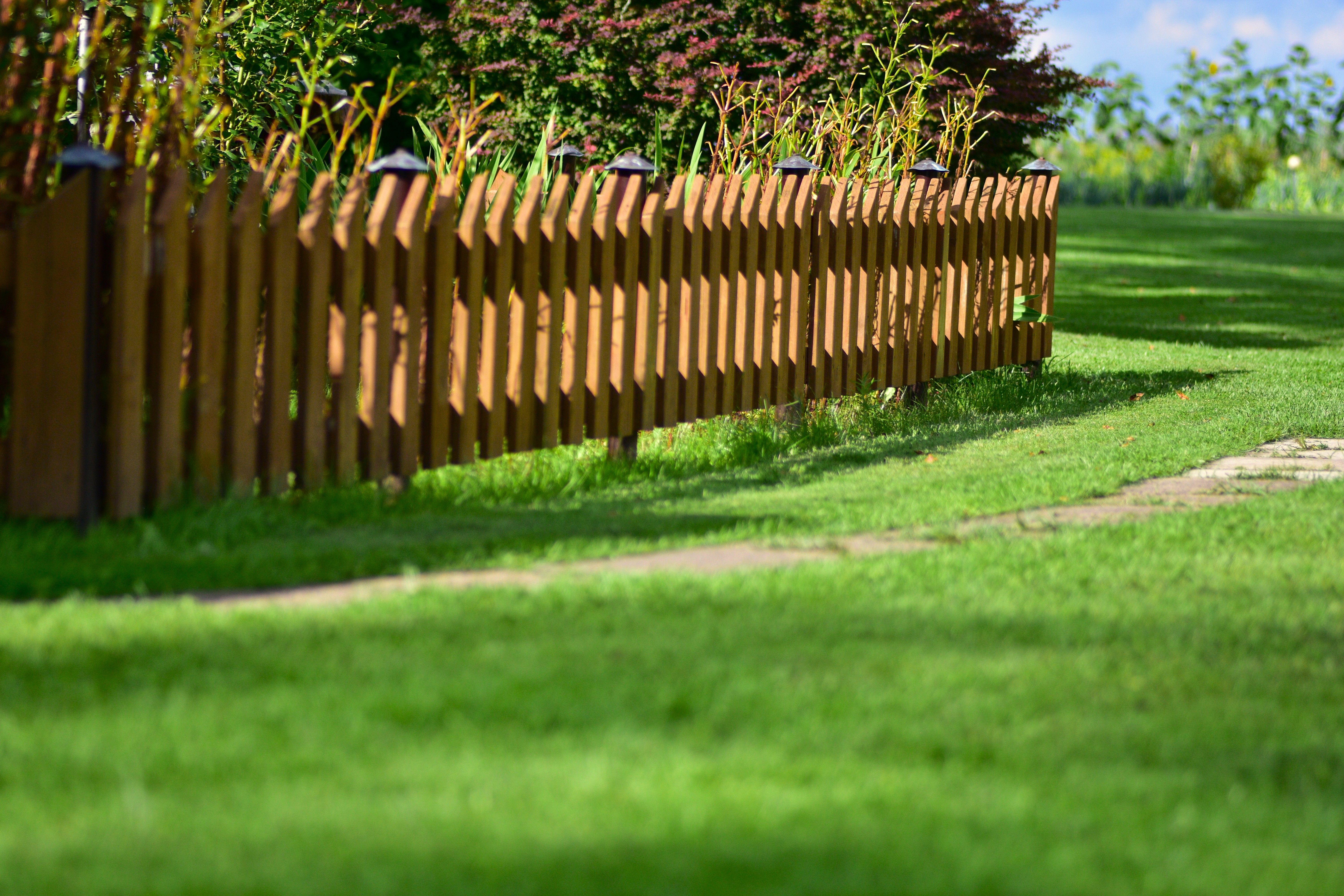 beautiful yard fence