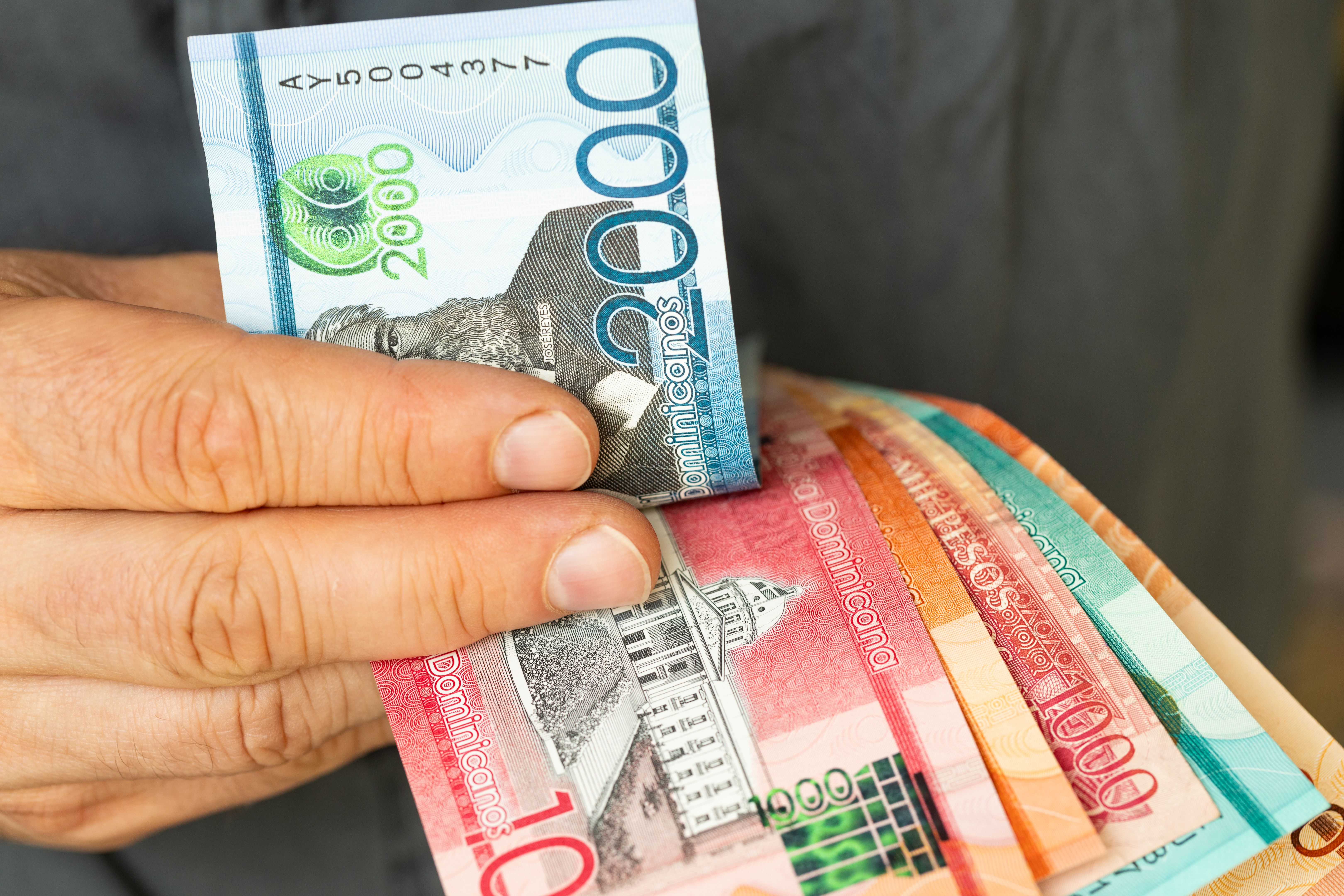 dominican republic business